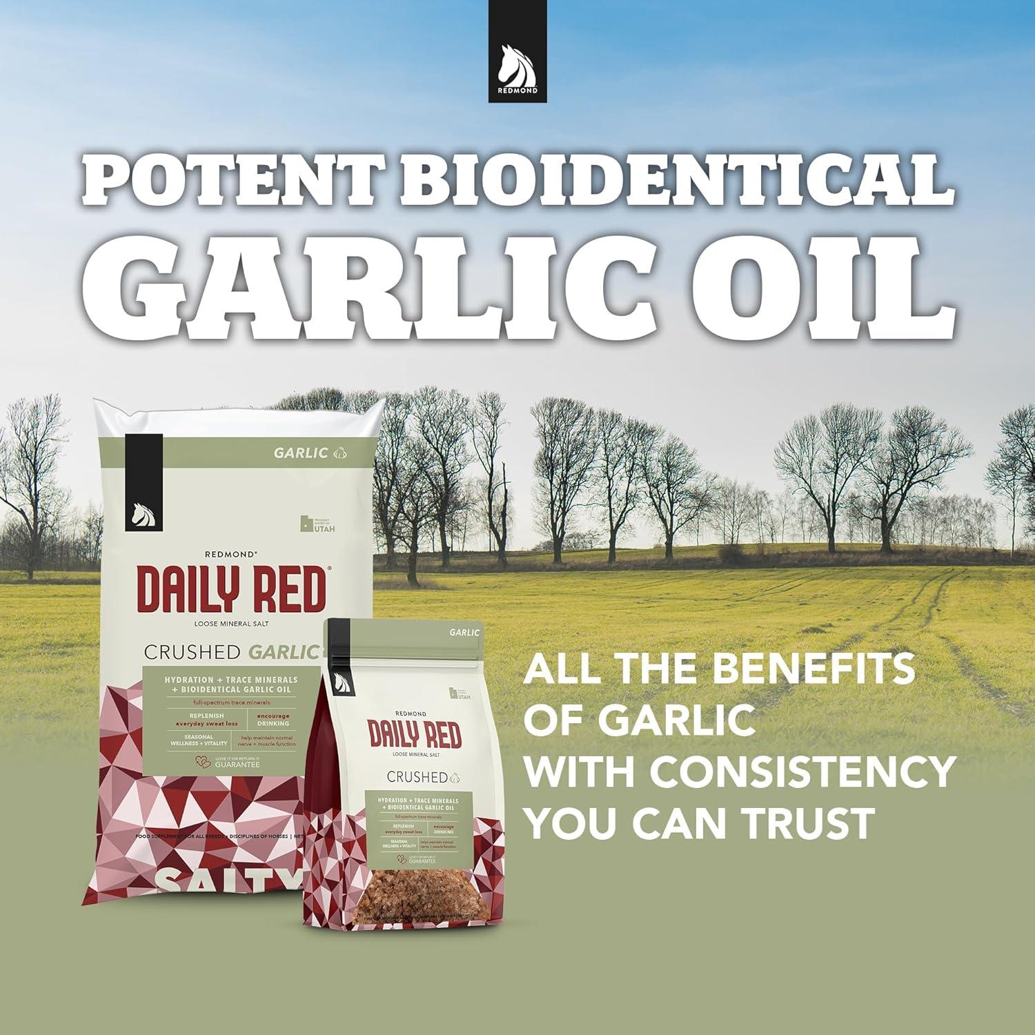 Suplemento Mineral Daily Red REDMOND para Caballos 2.27 KG