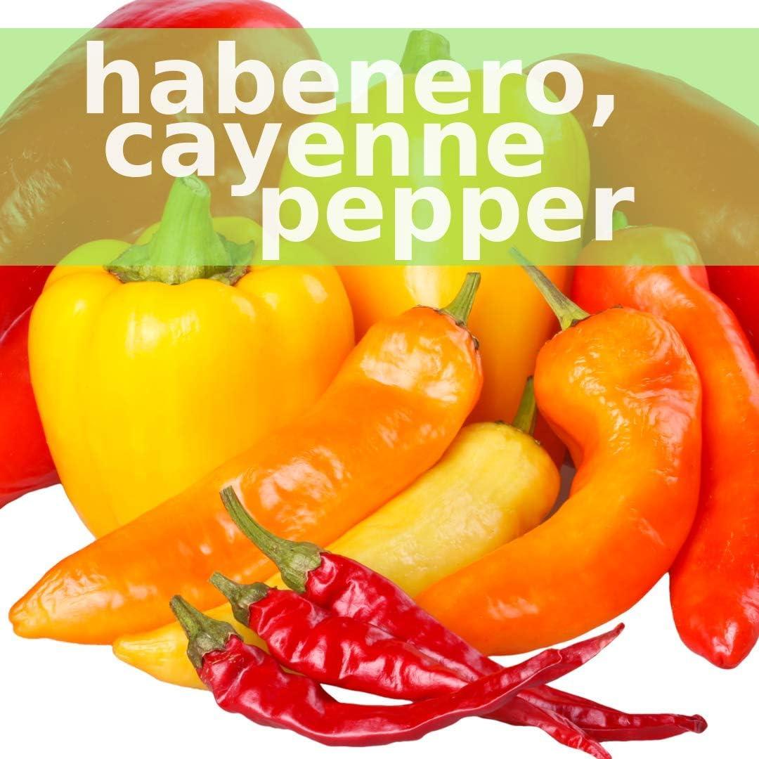 Tónico Herbal SpeedyVite 59 ml Orgánico Inmunológico