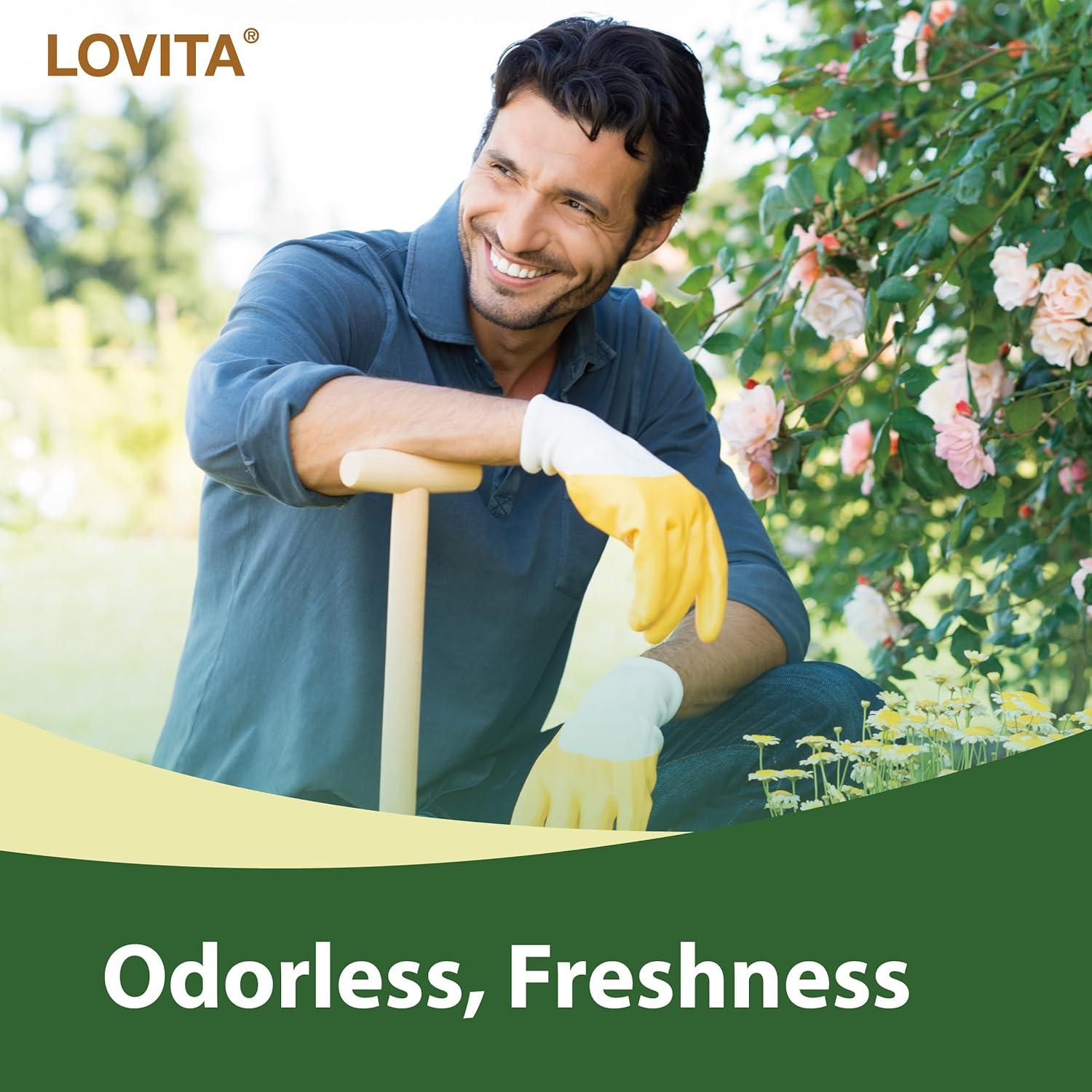 Extracto de Ajo Sin Olor Lovita 50mg 100:1 60 Cápsulas Veganas