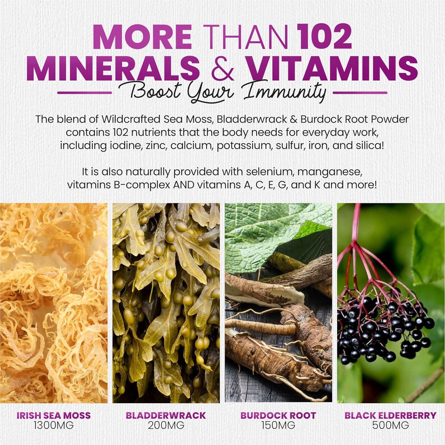 Gomitas de Musgo Marino Irlandés Sakoon - 60 Unidades Sabor Frambuesa