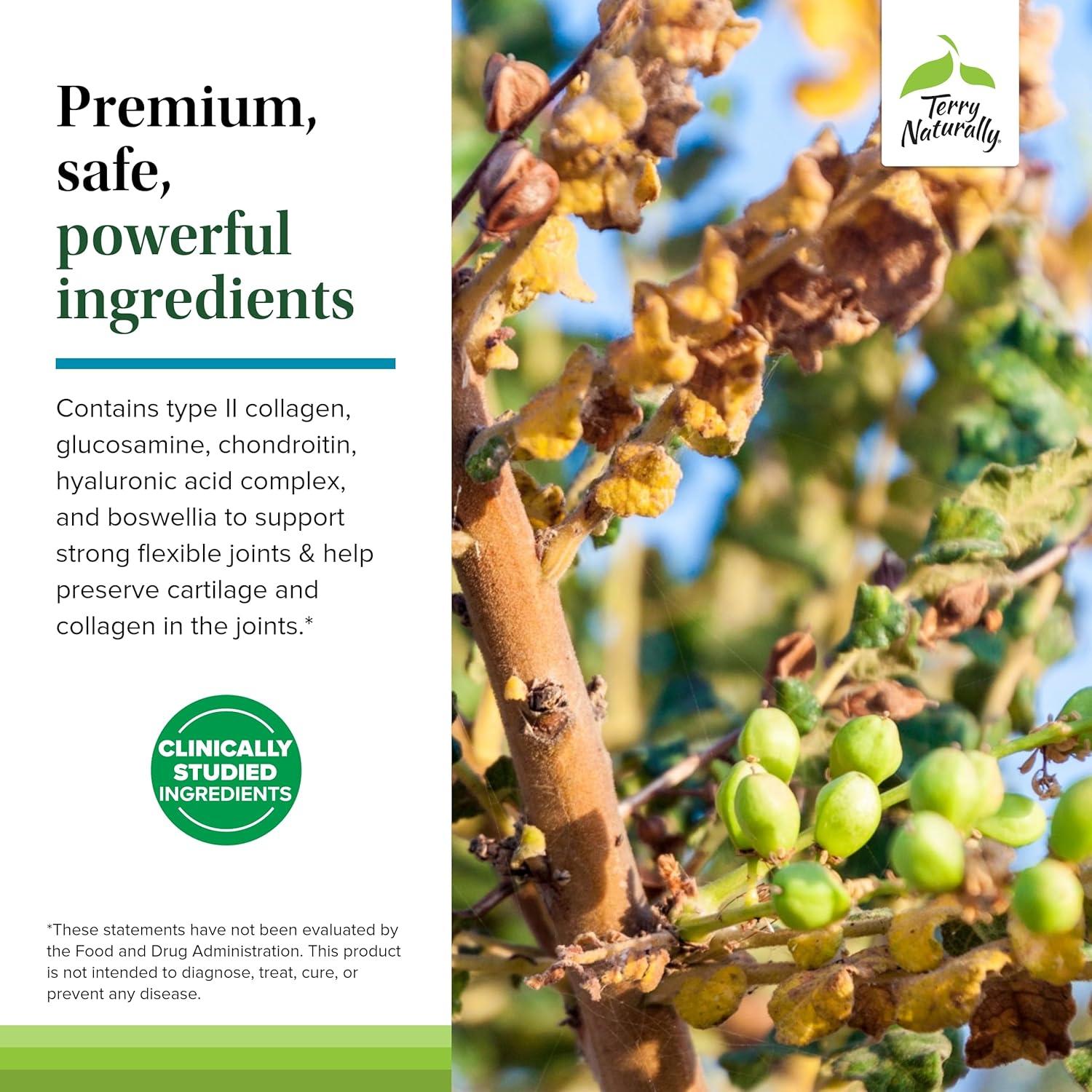 Suplemento de colágeno Terry Naturally Be Mobile - 60 cápsulas