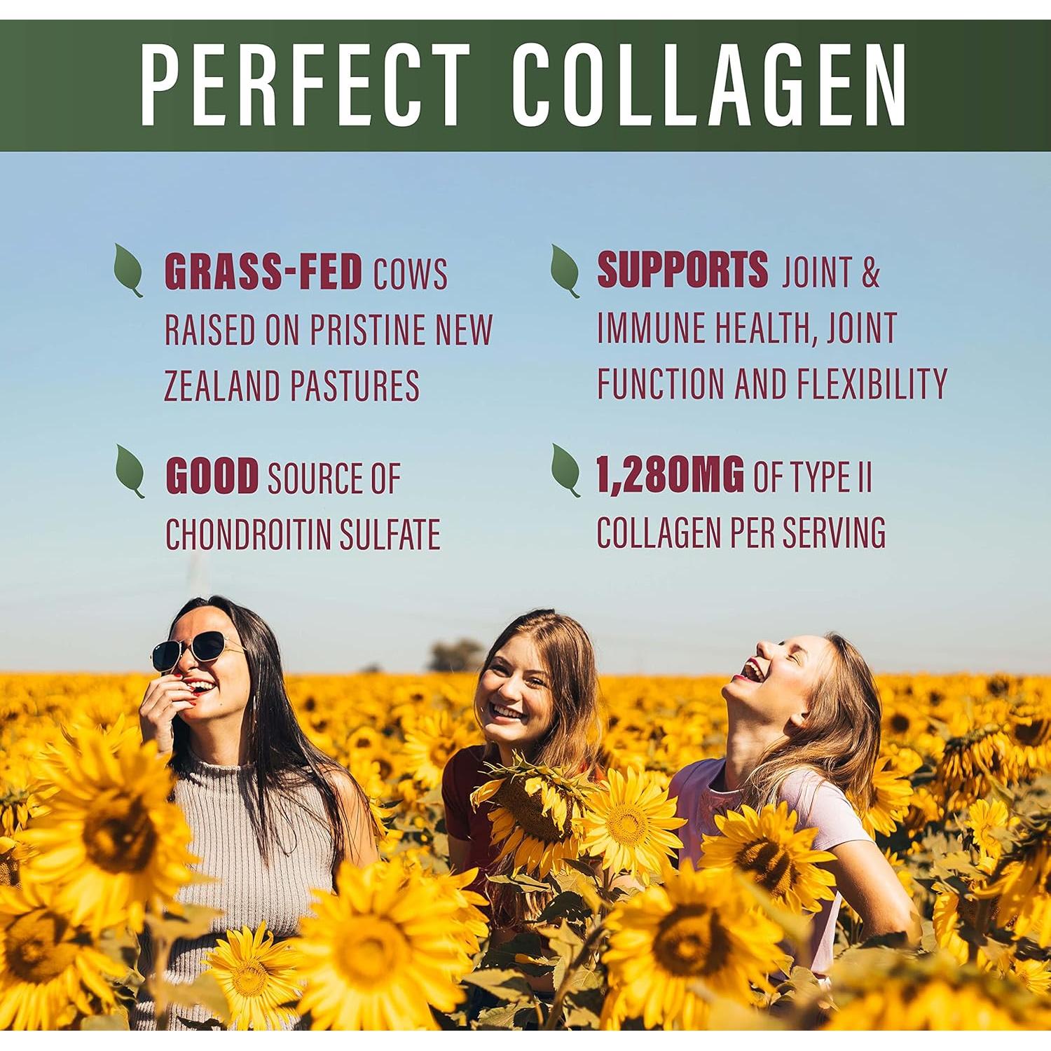 Colágeno Tipo II Perfecto Suplementos Perfectos 150 Cápsulas