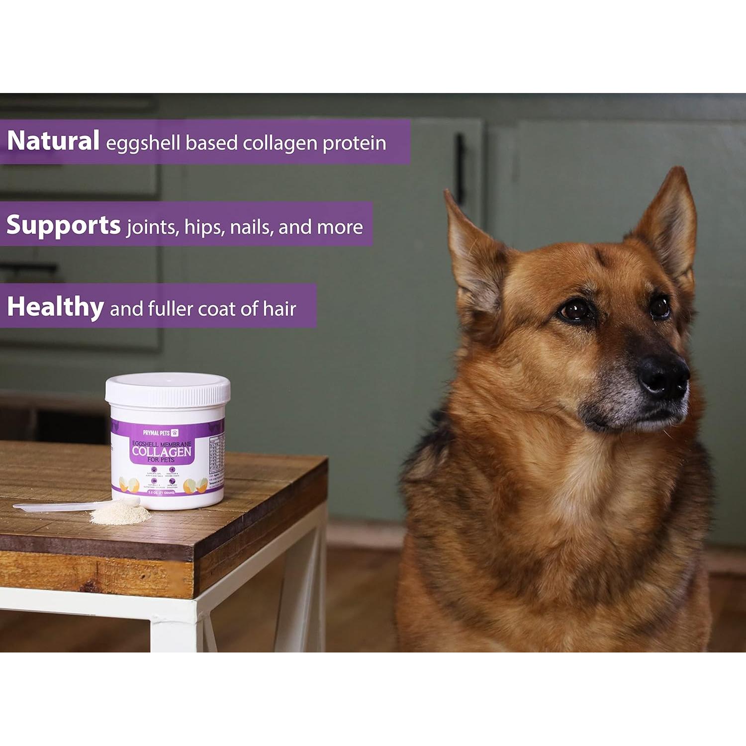 Colágeno en Polvo para Perros Prymal - Membrana de Cáscara de Huevo 100g