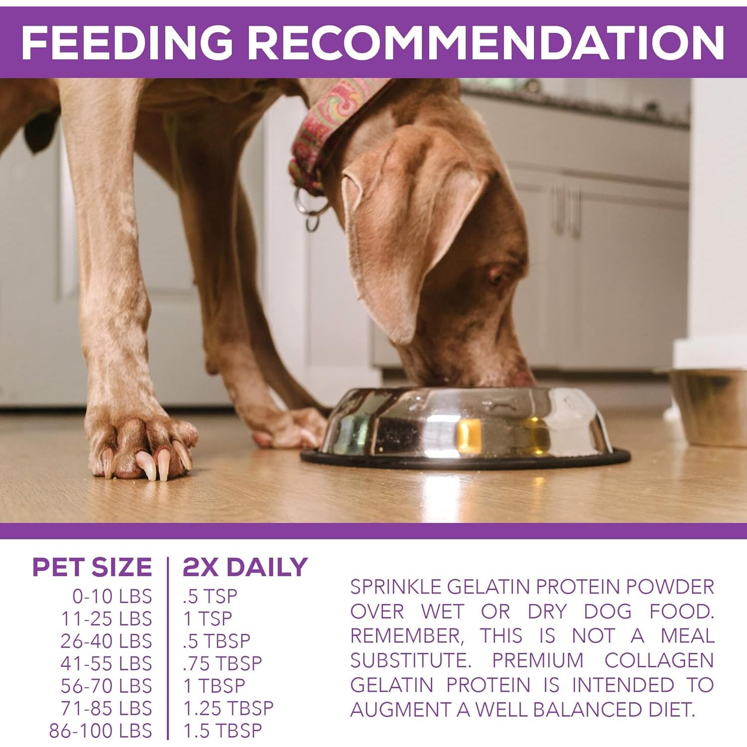 Proteína de Gelatina de Colágeno Premium para Perros 1.36Kg