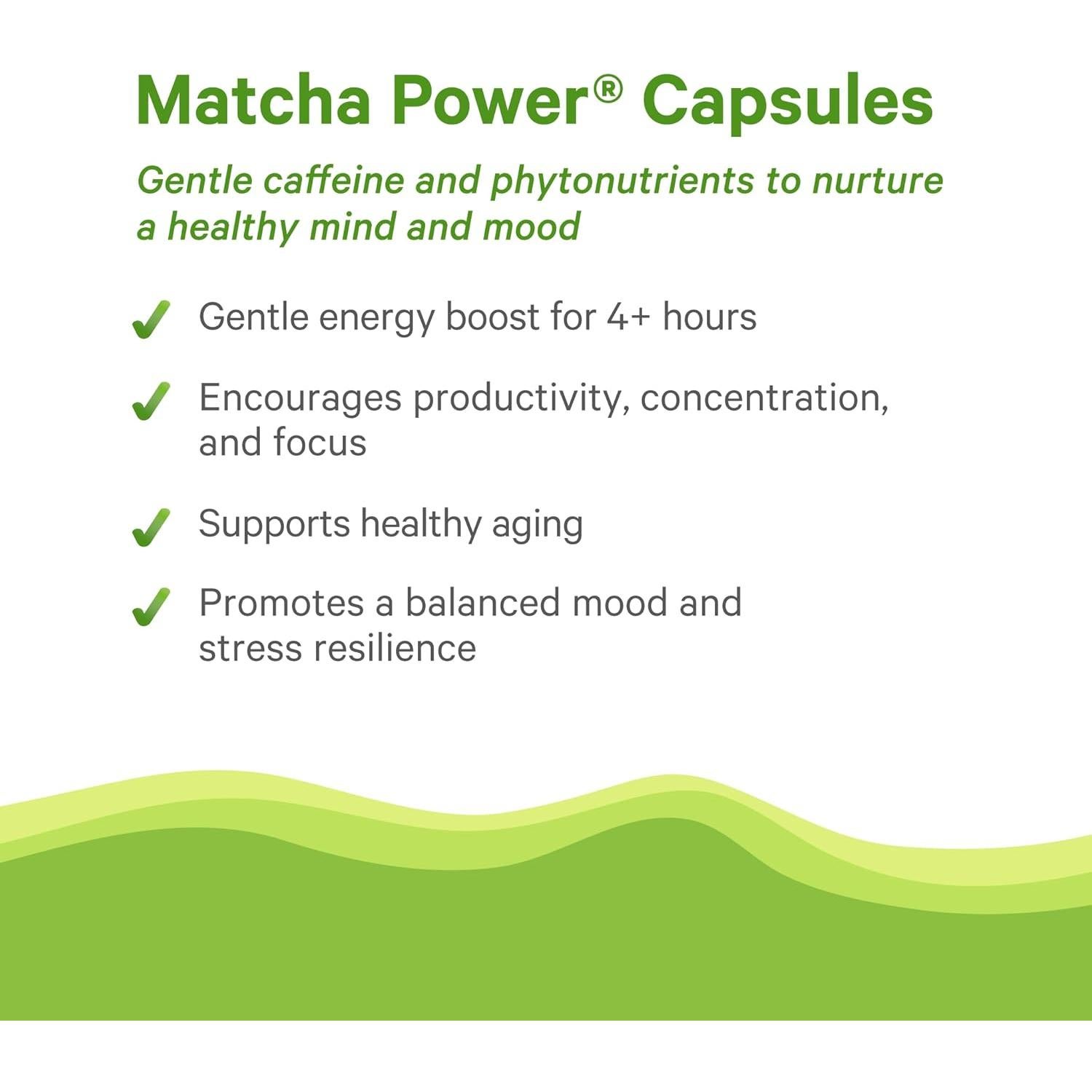 Cápsulas de Matcha Orgánico Synergy - 90 Cápsulas 1500 mg