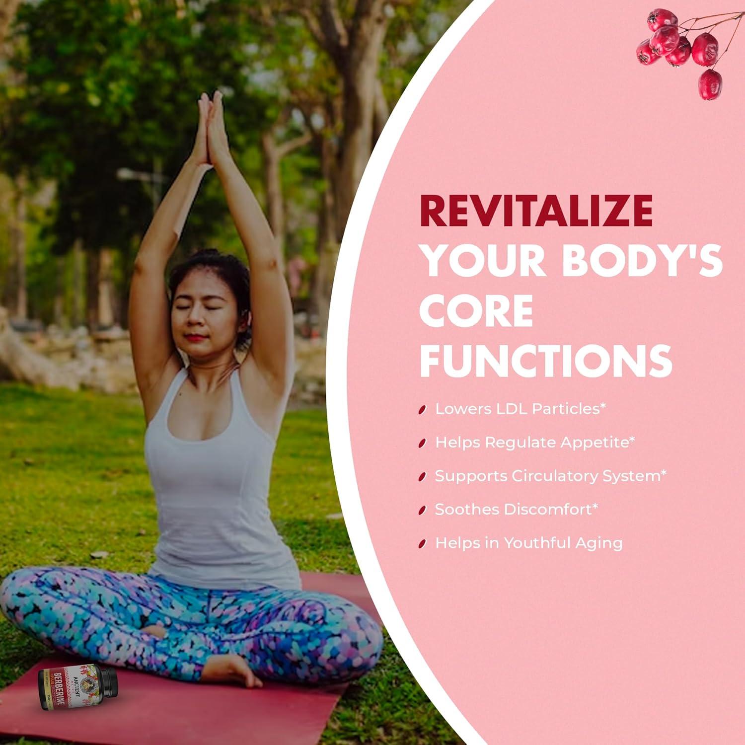 Suplemento de Berberina HCL 1200mg Fame Health Labs