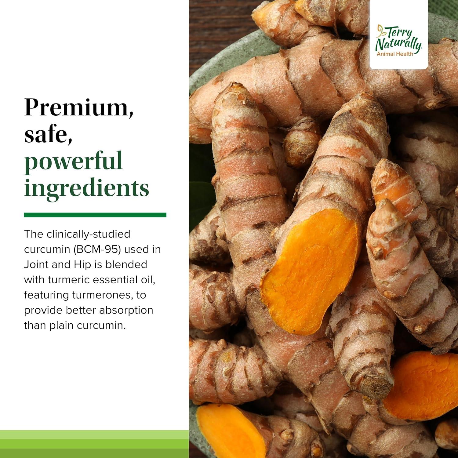 Suplemento Articulaciones y Cadera Terry Naturally - 60 Galletas Masticables