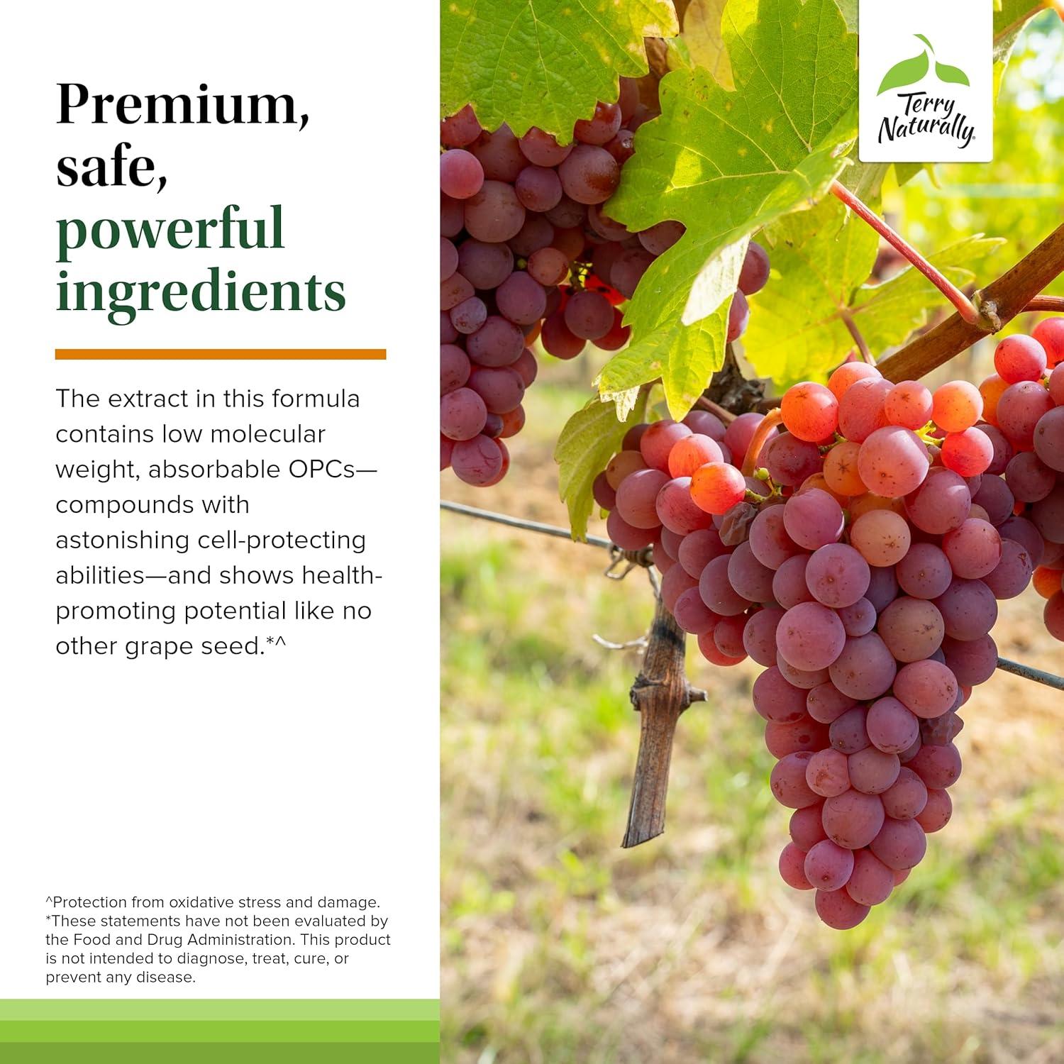 Suplemento de Cúrcuma Terry Naturally CuraMed 60 Gelatinas