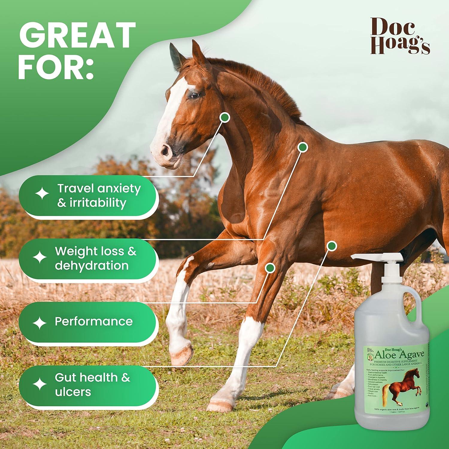 Suplemento Digestivo Aloe Vera Agave Doc Hoag 3.78L para Caballos