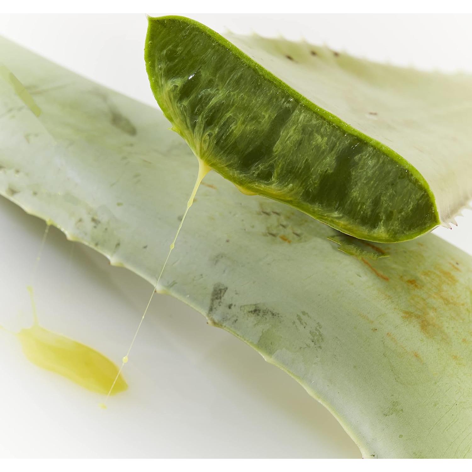 Jugo Puro de Aloe Vera Market America - Sabor Arándano 16 Porciones