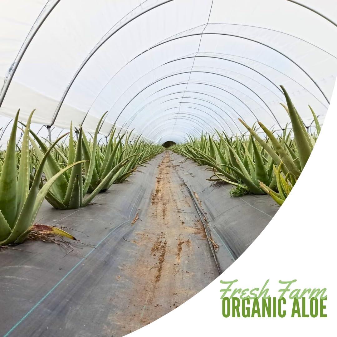 Jugo de Aloe Vera Orgánico Naturae 1000 ml con Saúco y Stevia