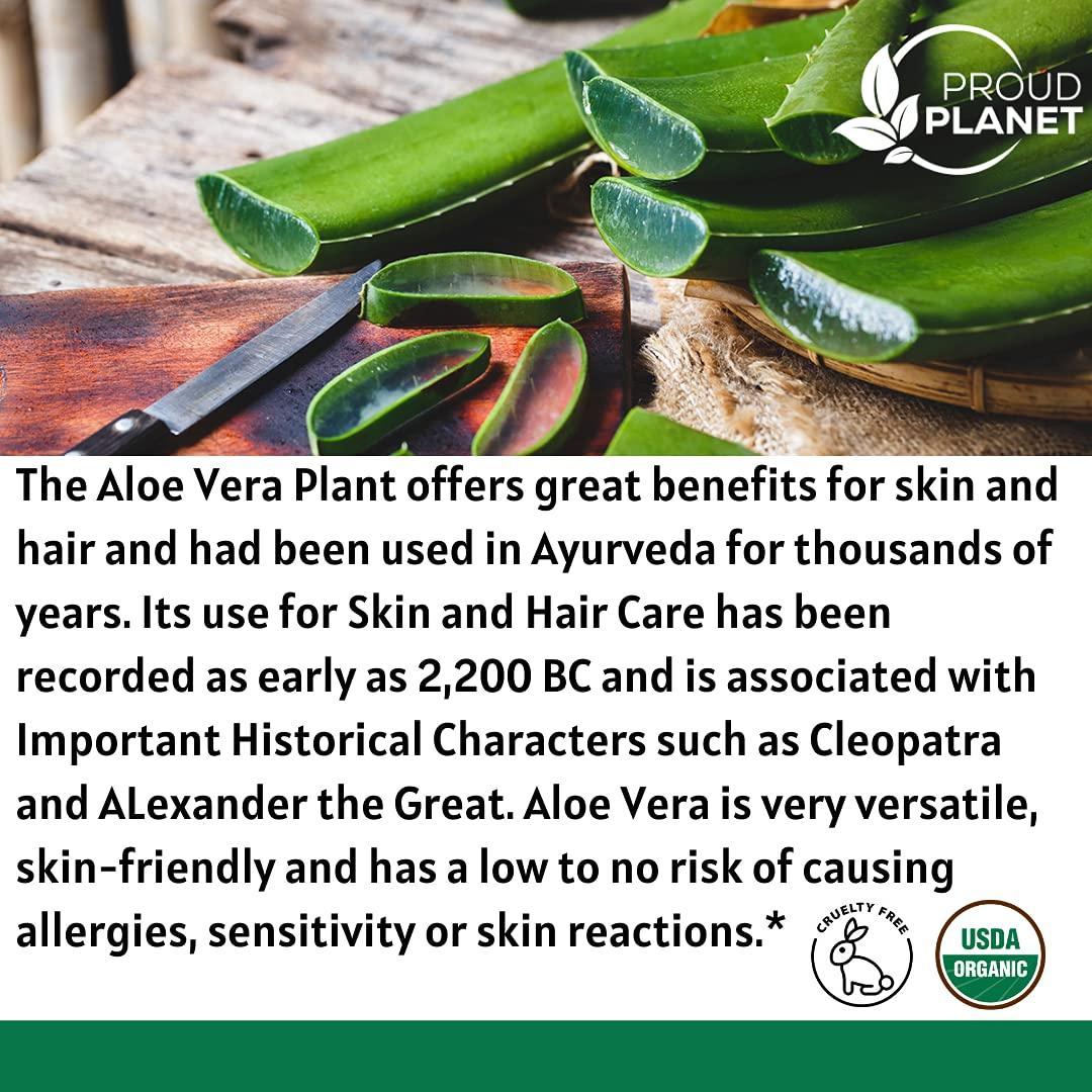 Polvo de Aloe Vera Orgánico Proud Planet 450g - Cuidado Piel y Cabello