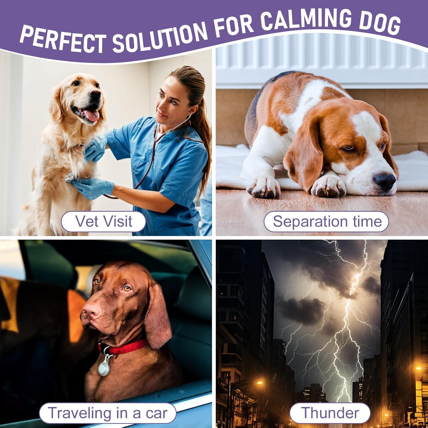 Gotas de Raíz de Valeriana PROVSPRO para Perros 60ml