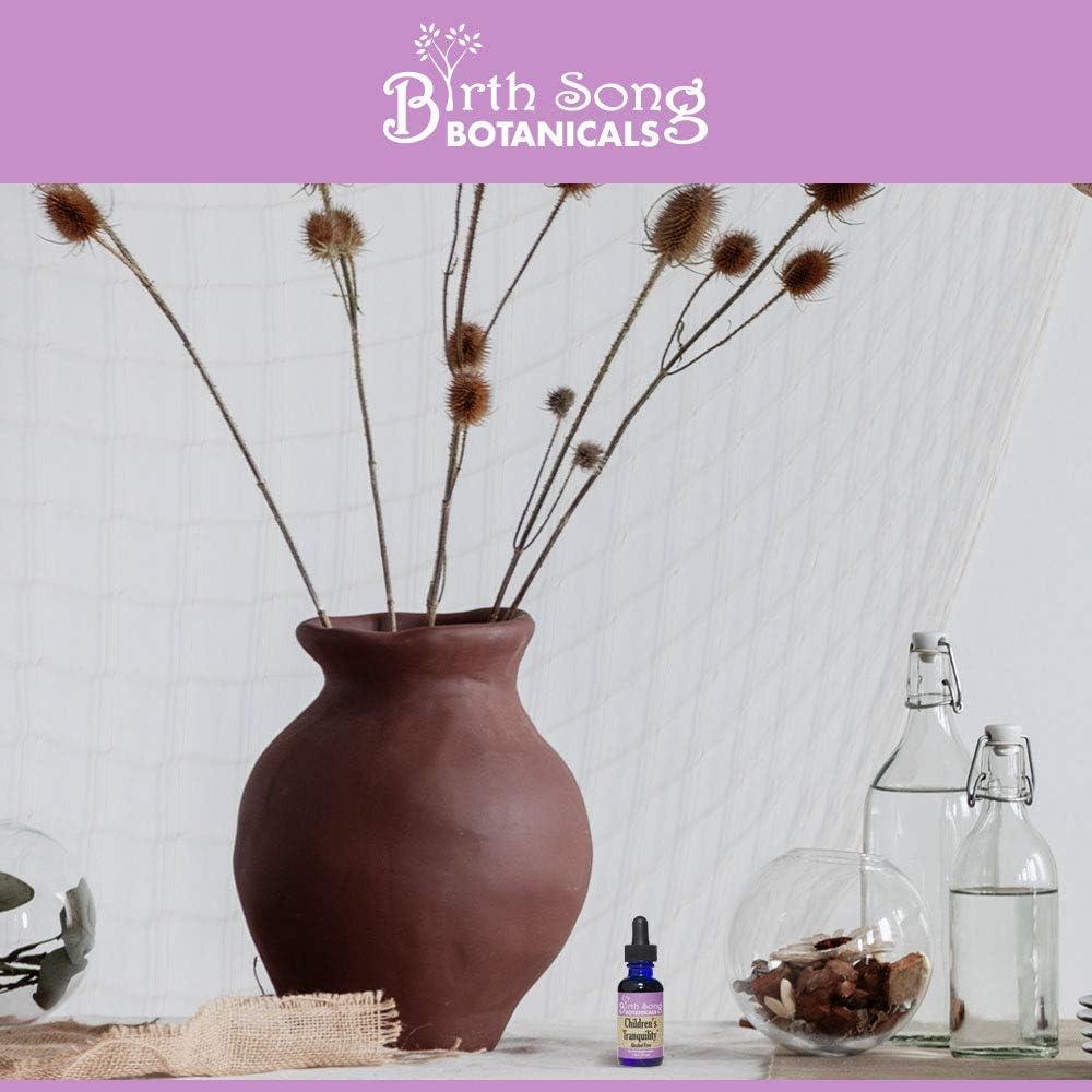 Tintura Herbal de Tranquilidad para Niños 30ml - Birth Song Botanicals