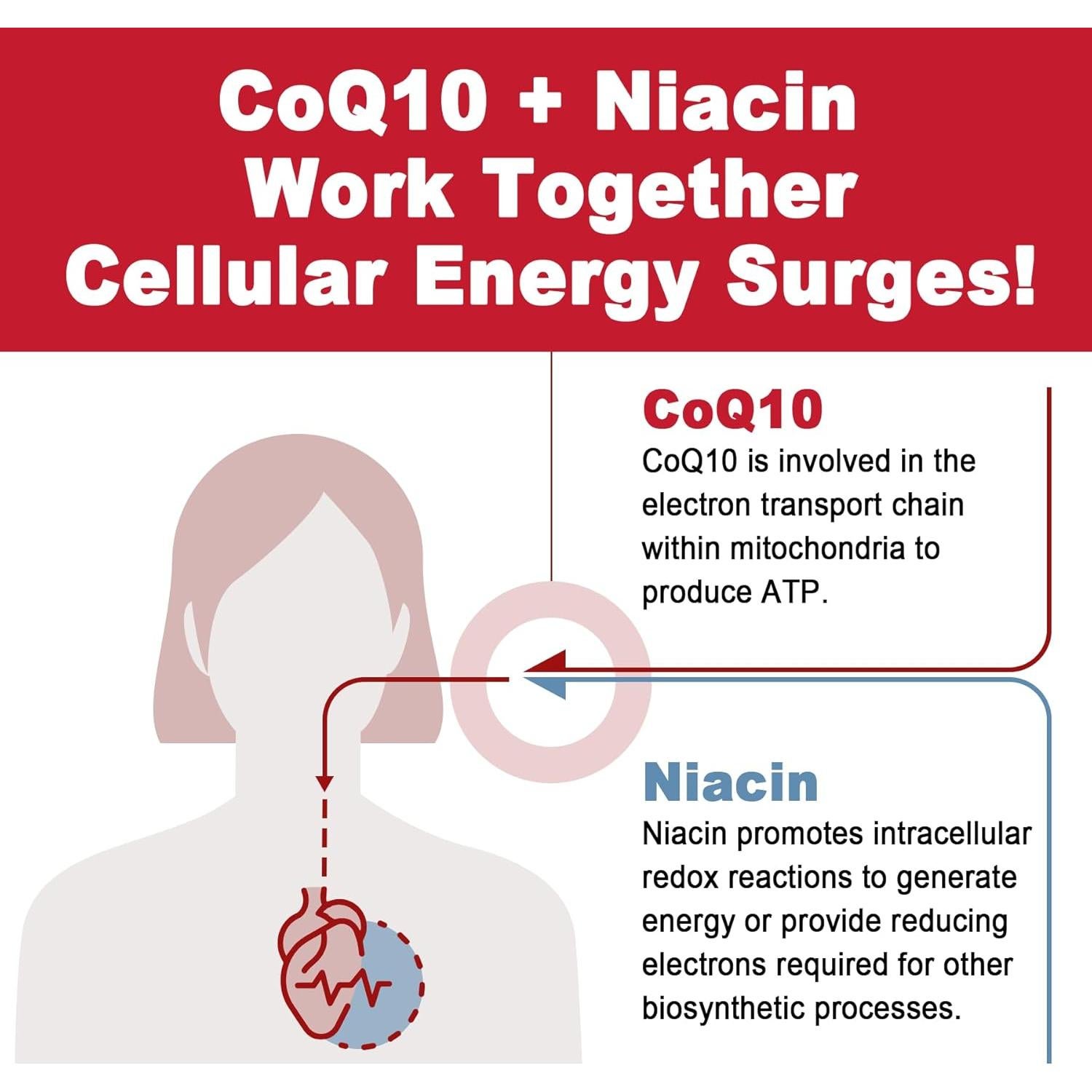 Gominolas Sin Azúcar CoQ10 250mg LILICARE - 60 Unidades