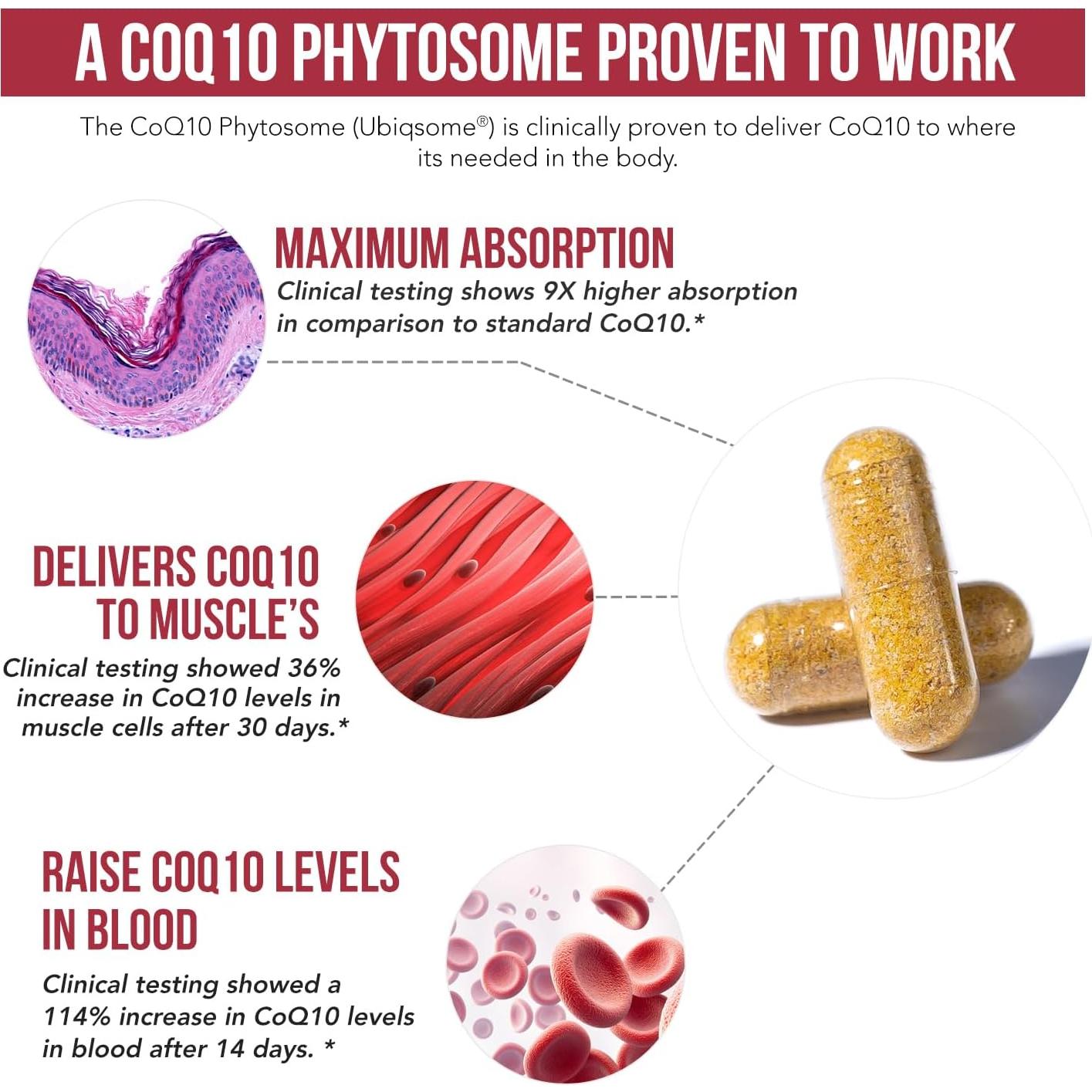SoActive CoQ10 250 mg Fitósoma - 60 Cápsulas - Alta Absorción