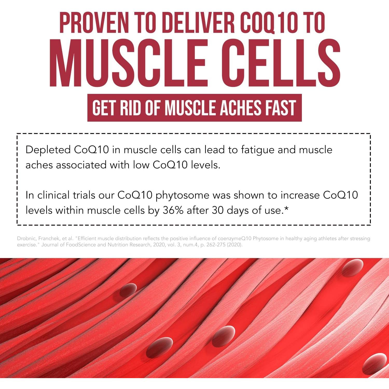 SoActive CoQ10 250 mg Fitósoma - 60 Cápsulas - Alta Absorción