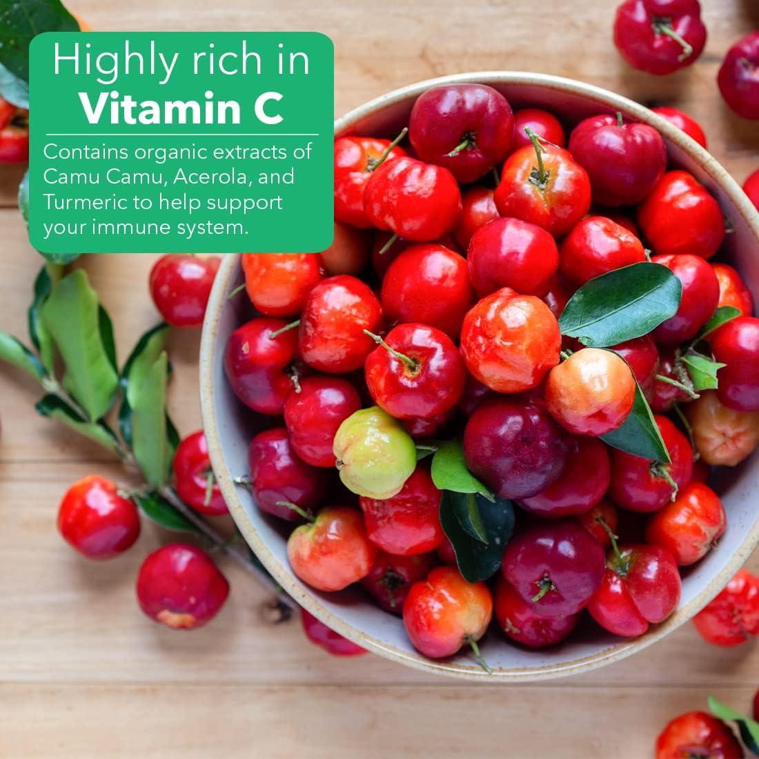 Semilla de Lino Sanar Naturals 255 g - Suplemento Inmunológico Omega 3