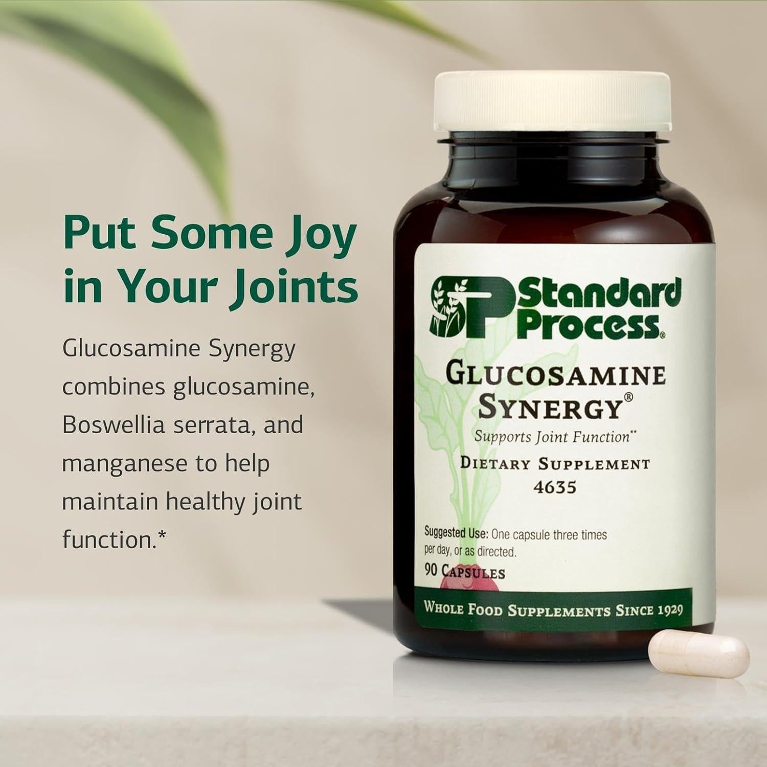 Suplemento Articular Glucosamina Standard Process 90 Cápsulas