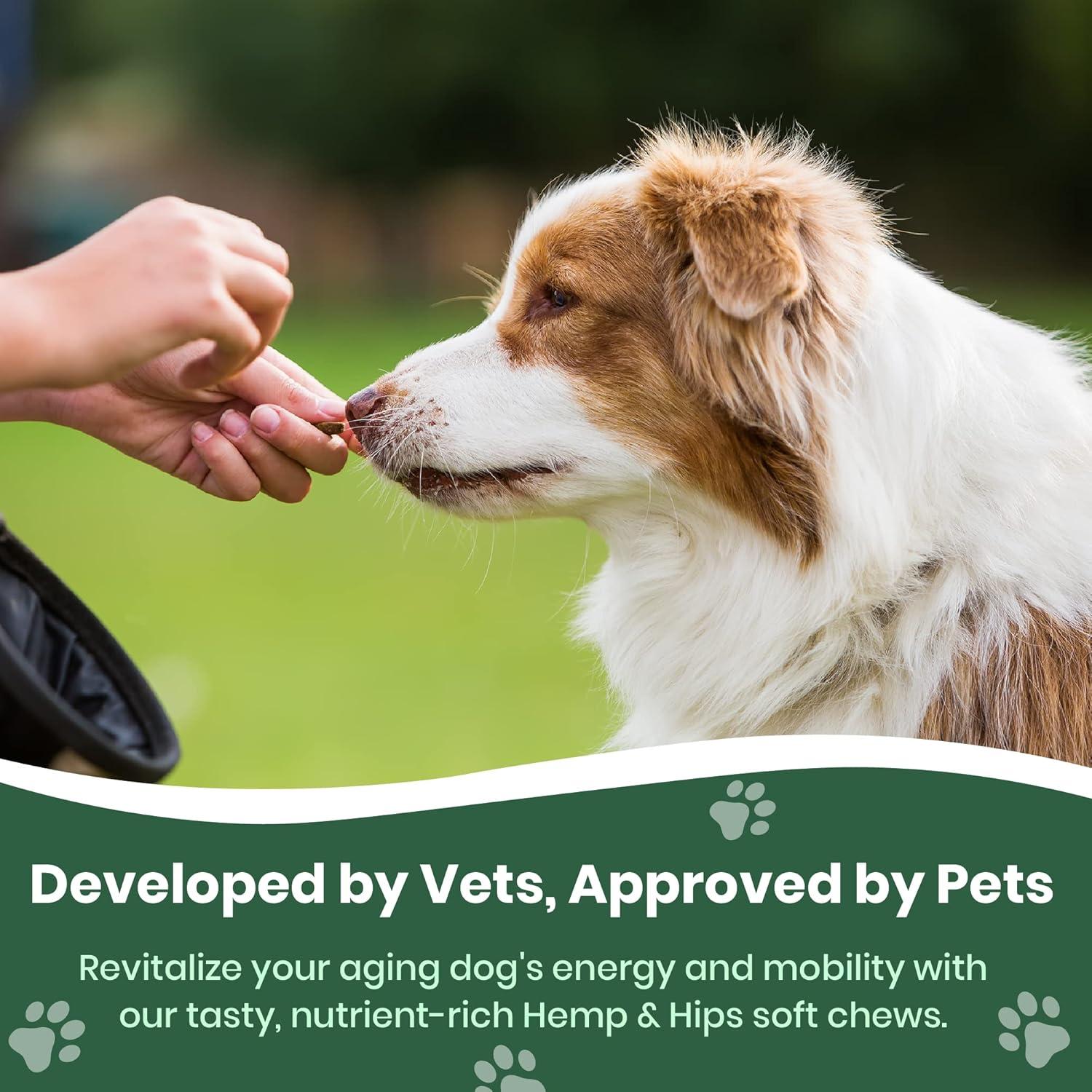 Suplemento Articular para Perros Veterinary Naturals - 60 Masticables de Pollo