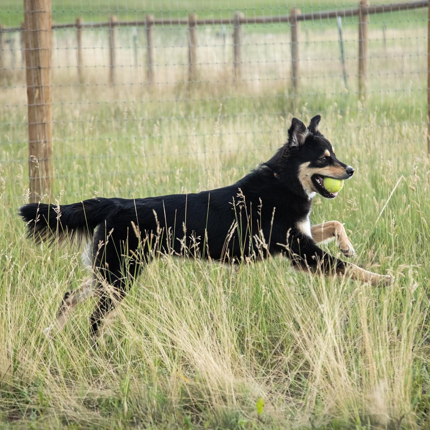 Suplemento Articular InClover Connectin 150 Tabletas para Perros