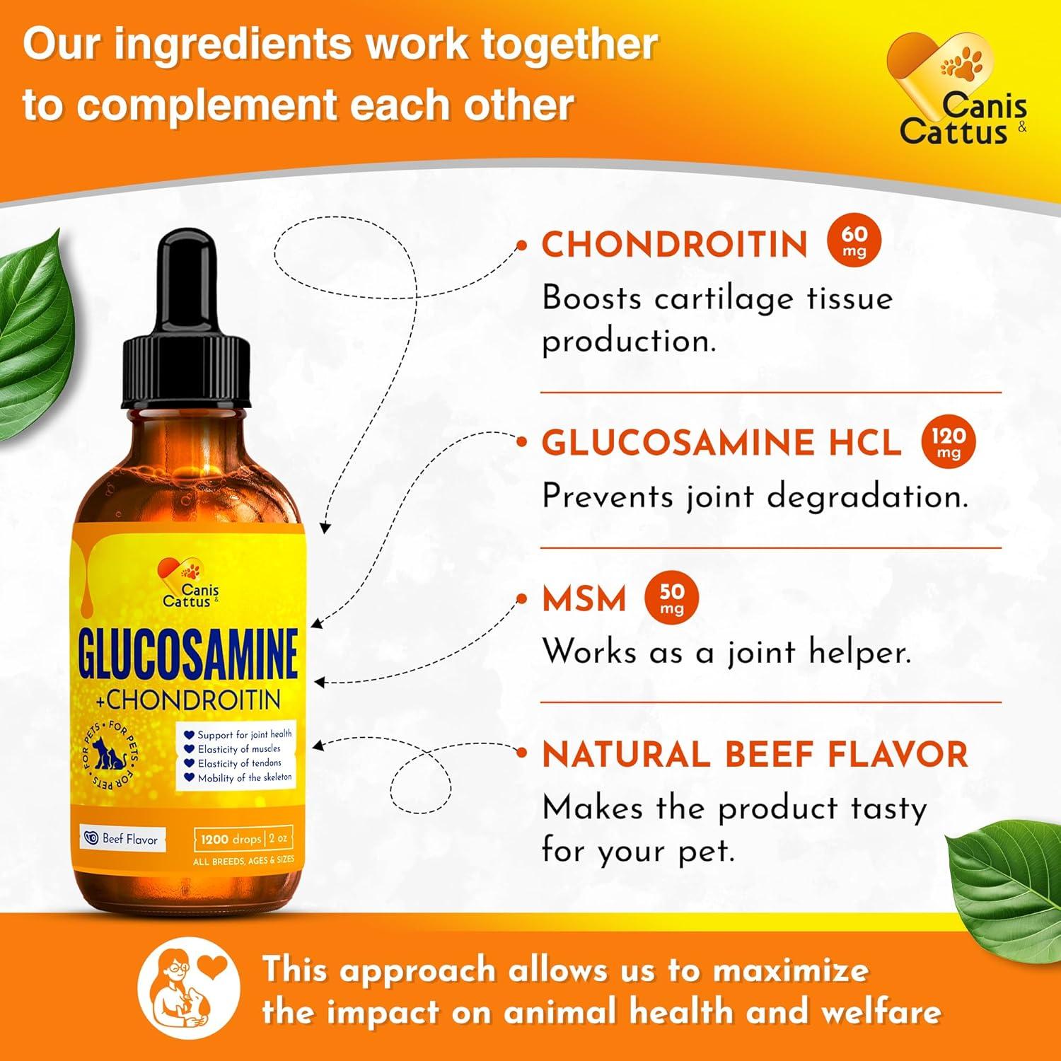 Suplemento Articular Canis&Cattus 56.7g - Glucosamina + MSM