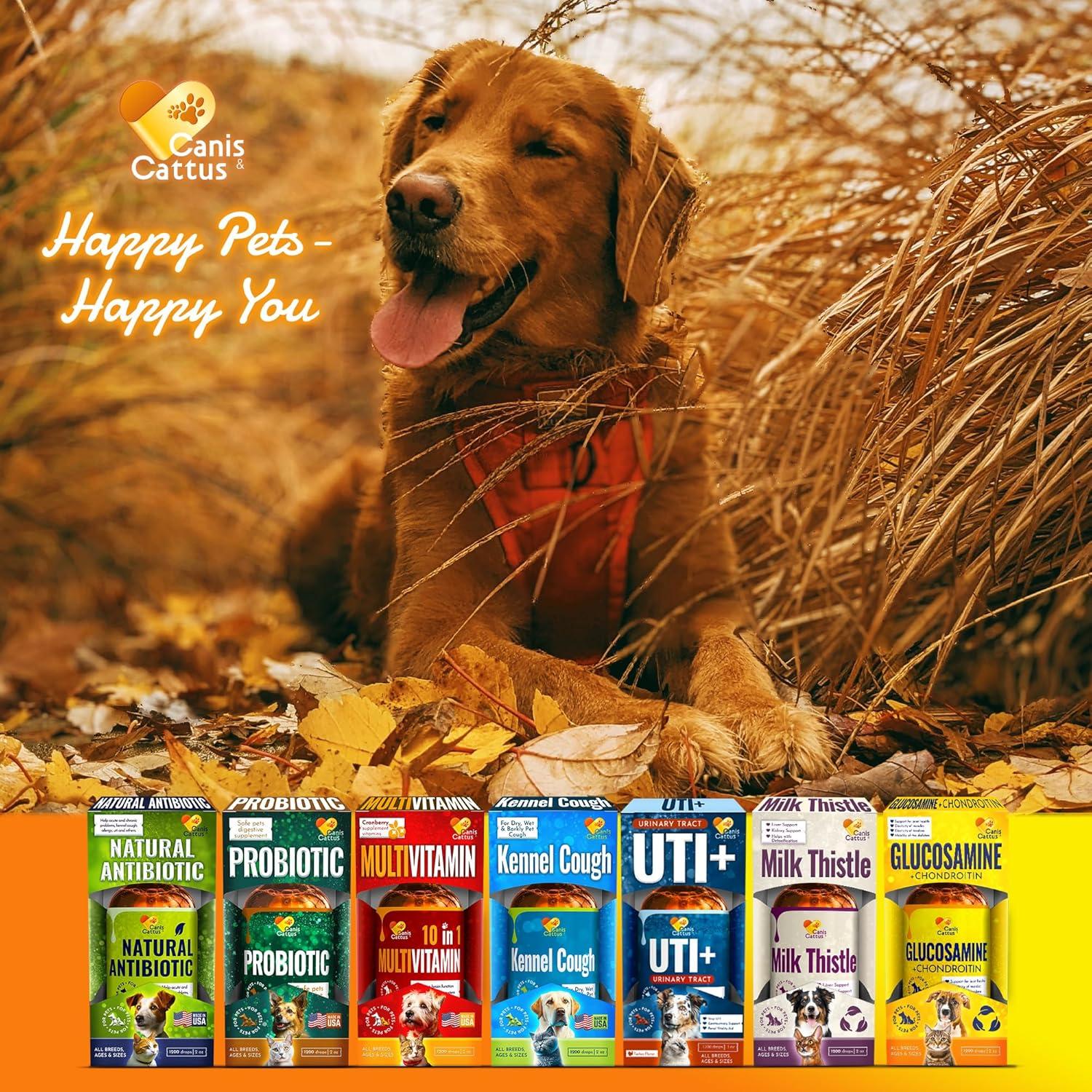 Suplemento Articular Canis&Cattus 56.7g - Glucosamina + MSM