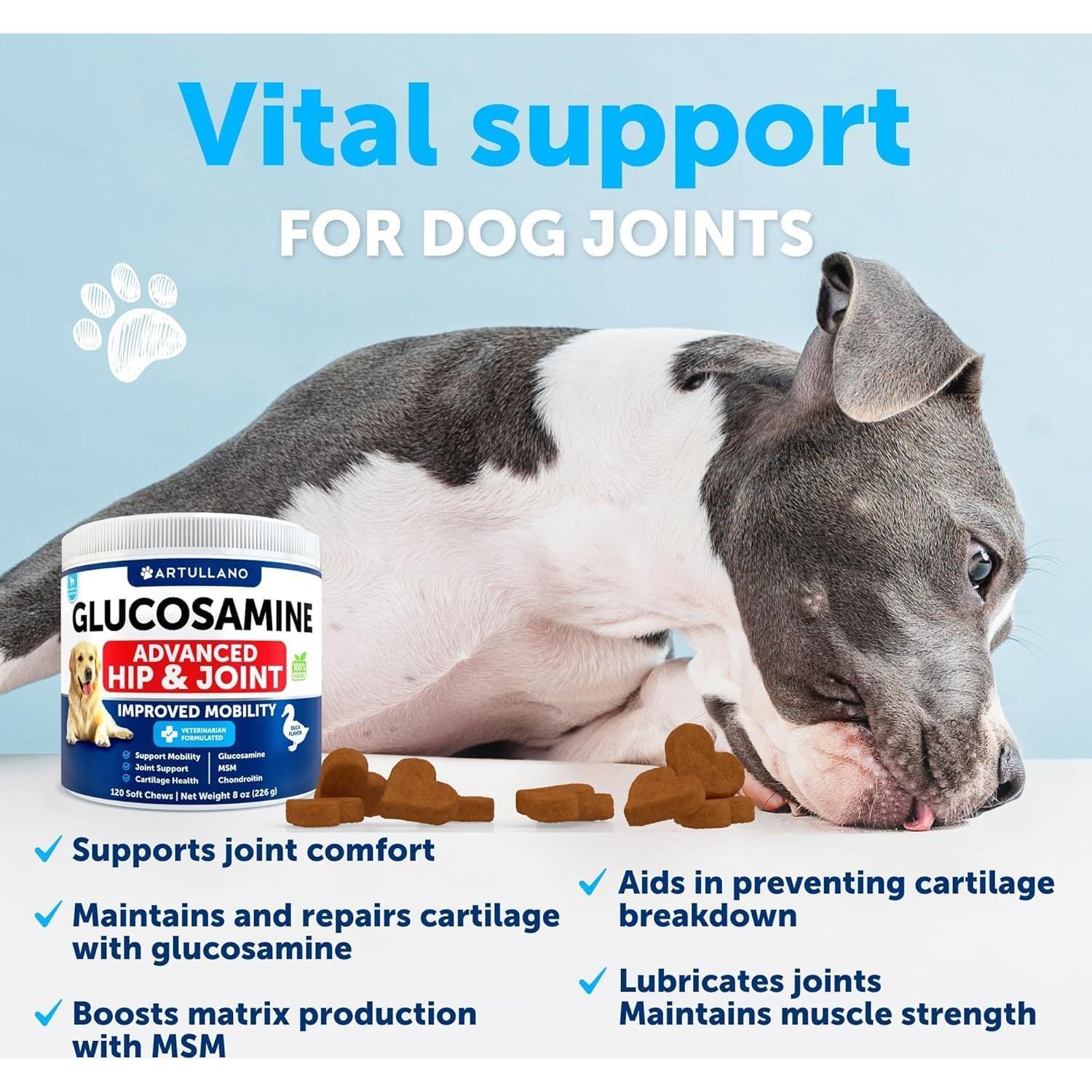 Golosinas de Glucosamina para Perros Artullano - 120 Unidades