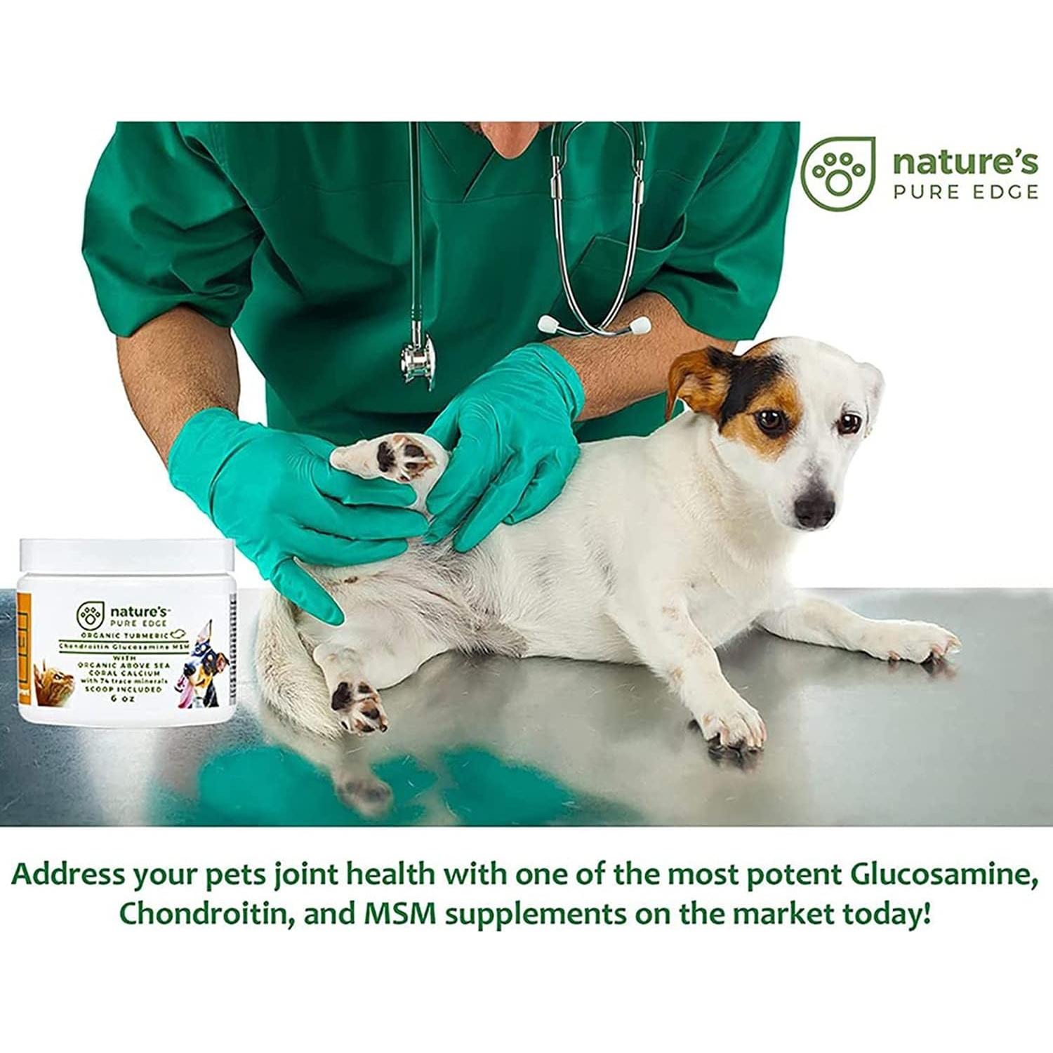 Suplemento Articulaciones Mascotas NPE 170g - Glucosamina, Cúrcuma