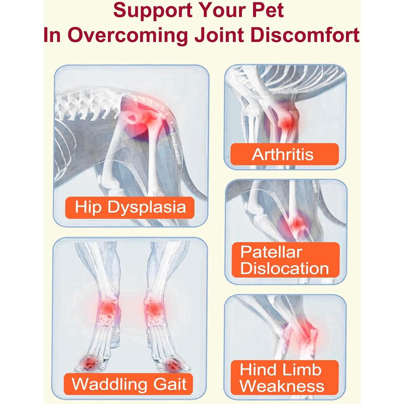 Suplemento Articular para Perros VEELOT 180 Masticables Sabor Pollo