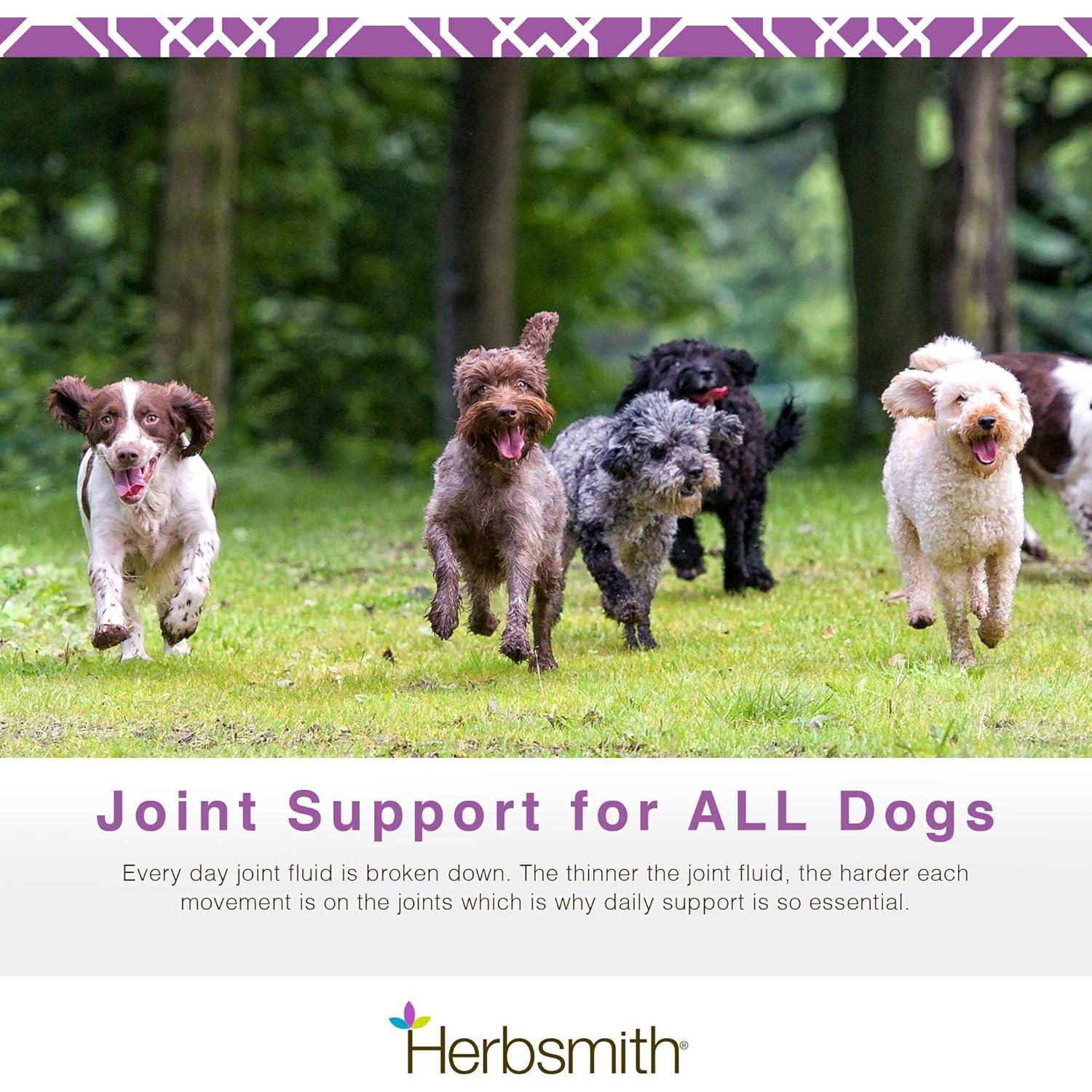 Herbsmith Sound Dog Viscosity – Advanced Joint Support for Dogs – Veterinarian Recommended Glucosamine for Dogs, Hyaluronic Acid, Chondroitin, MSM – Natural Arthritis Pain Relief – 60ct Large Chews