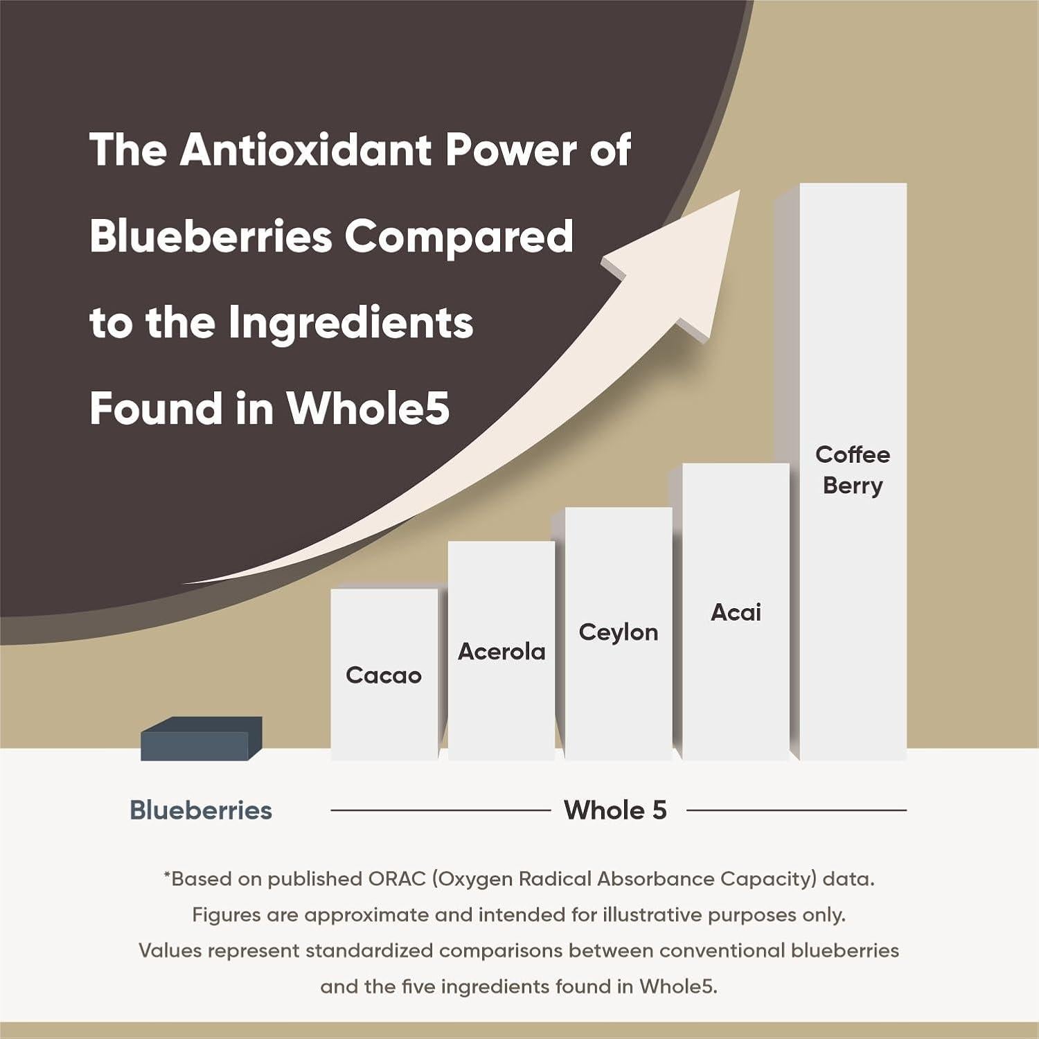 Whole5 Polvo de Superalimento Antioxidante 450g - Acai, Cacao, Canela