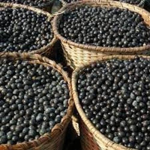 Suplemento de Baya de Acai Healthy Supplements 85g