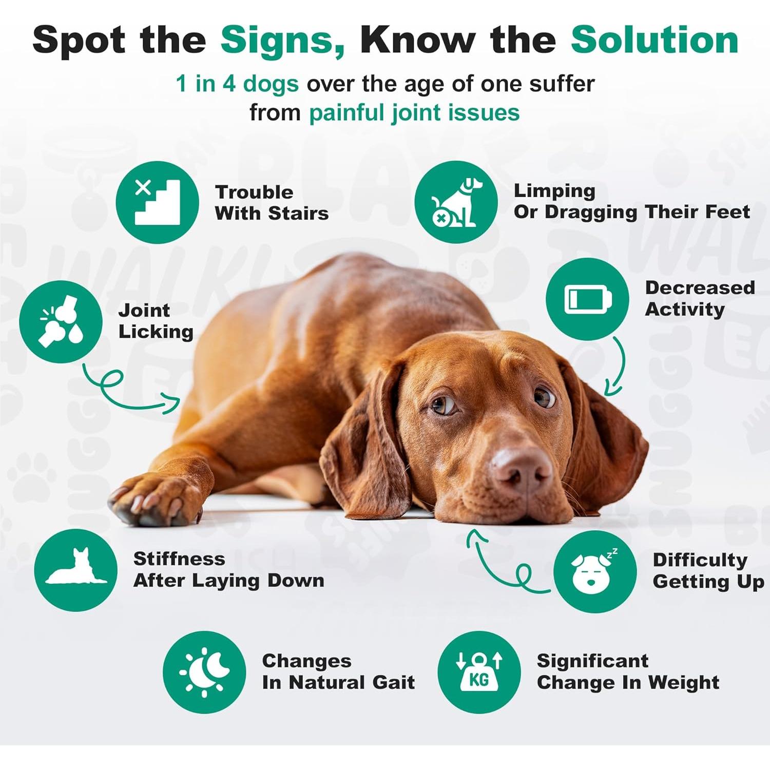 Suplemento Articular para Perros Doggie Dailies Pollo 225 Masticables