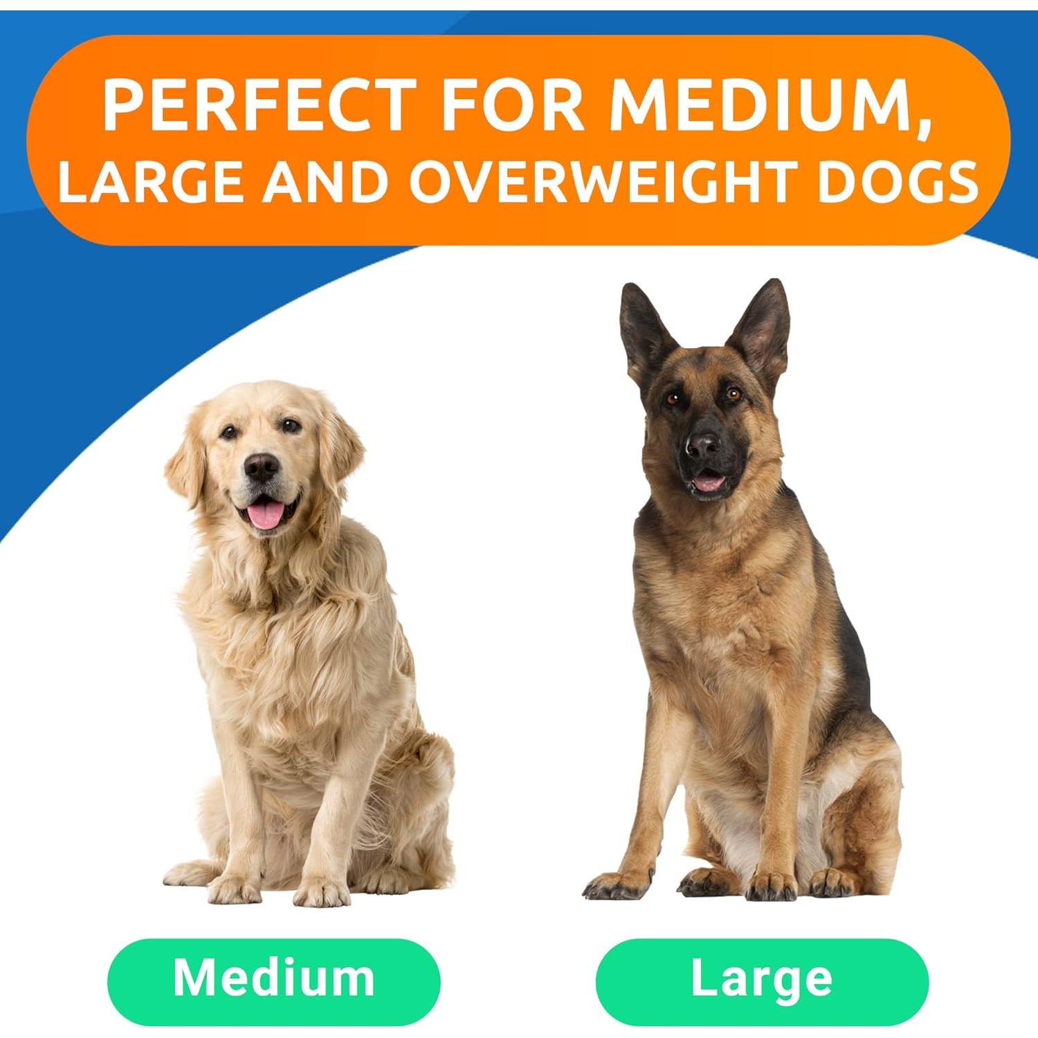 Galletas de Cáñamo Bark&Spark 360 Masticables Pollo