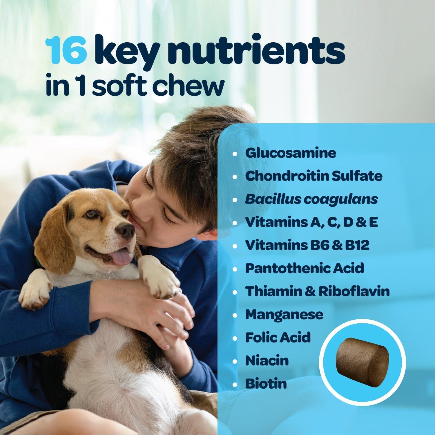 Multivitamina Completa 12-en-1 para Perros GrowveGo 60 Masticables