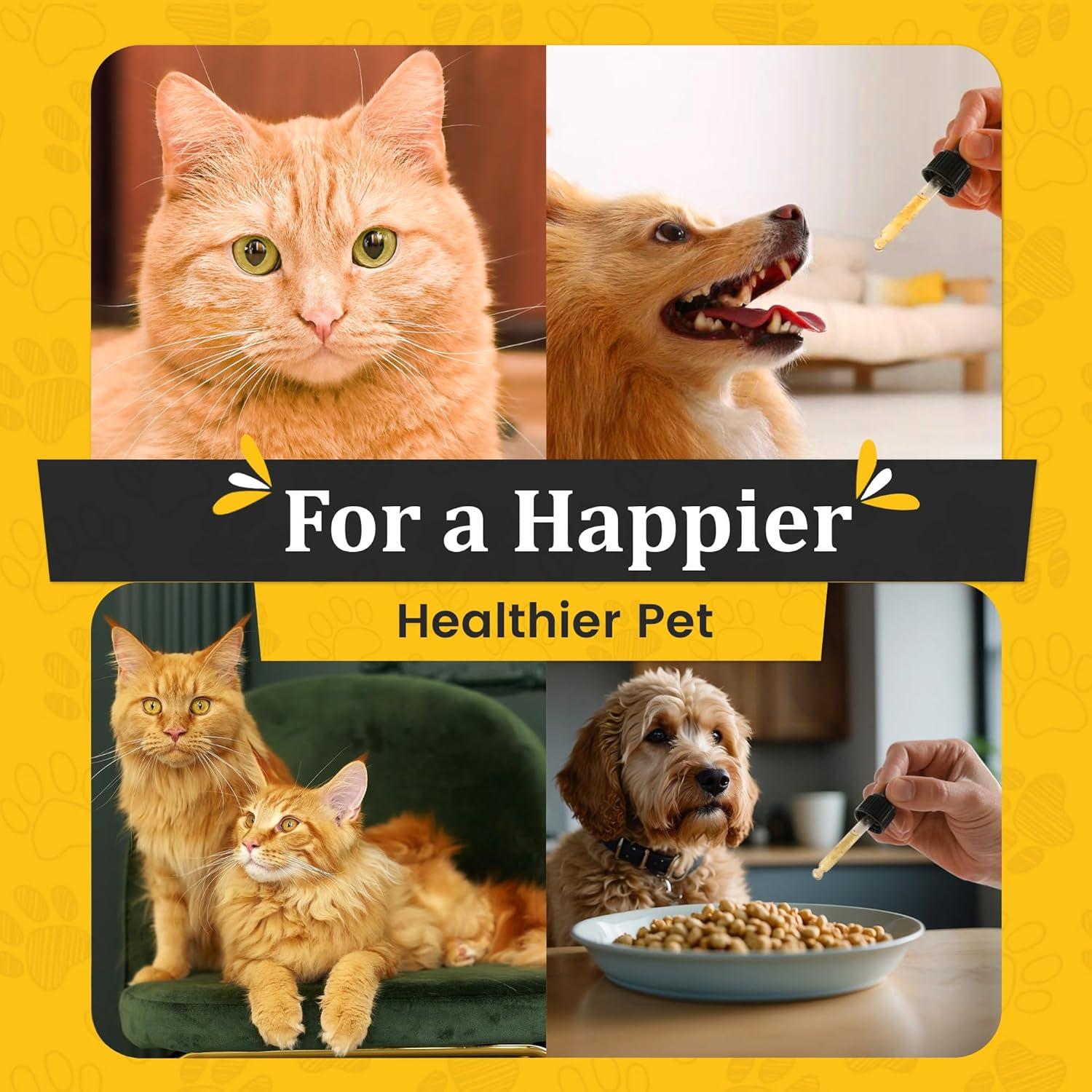 Suplemento Líquido de Glucosamina Bossy Pet 240ml - Articulaciones