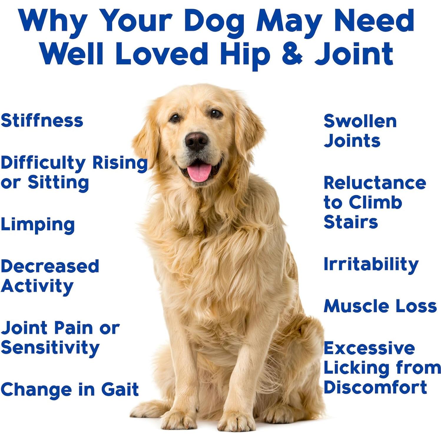 Suplemento Articular para Perros Bien Queridos - Glucosamina, 120 Masticables