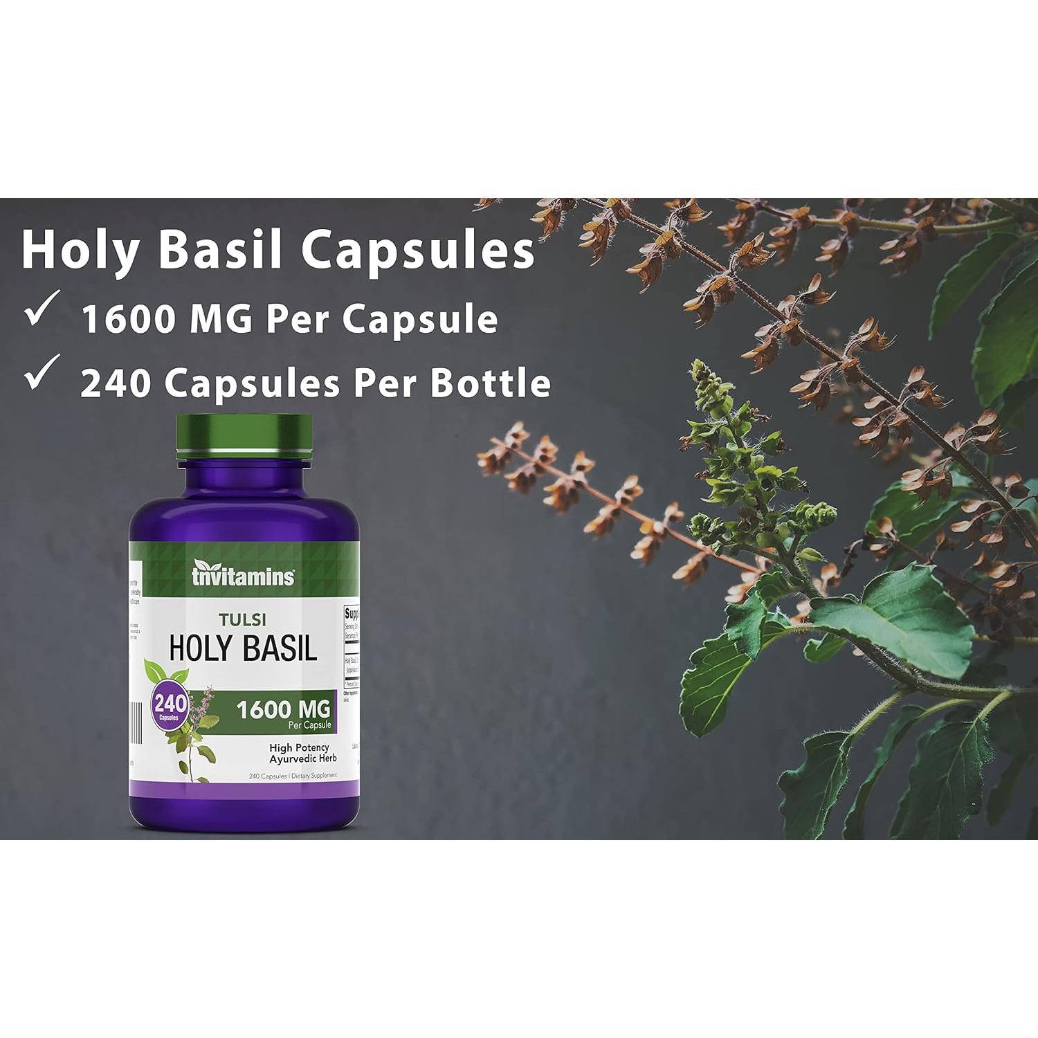 Cápsulas de Albahaca Sagrada TNVitamins 1600 mg - 240 Unidades