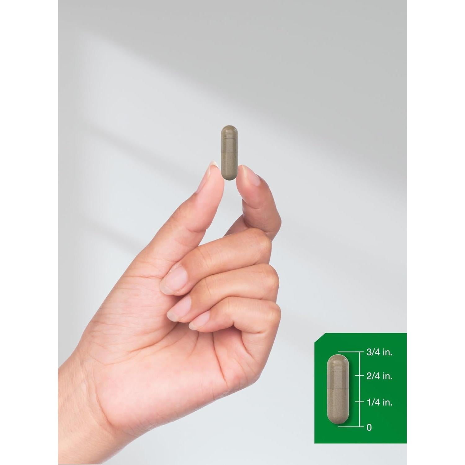 Cápsulas de Fenogreco Horbäch 3000 mg - 150 Unidades Sin OGM