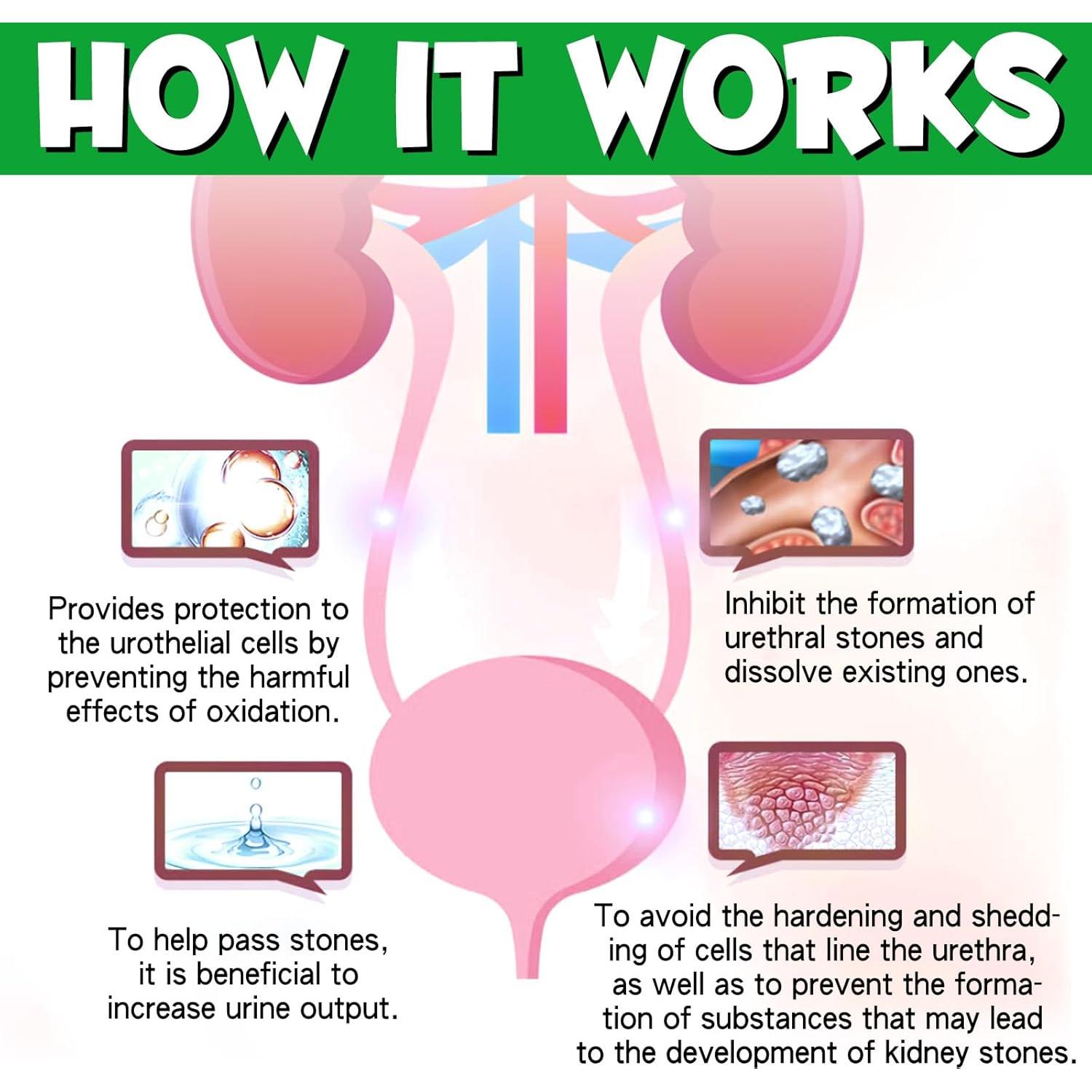 Tratamiento UTI para Perros Onznoz 59.15 ml - Salud Urinaria