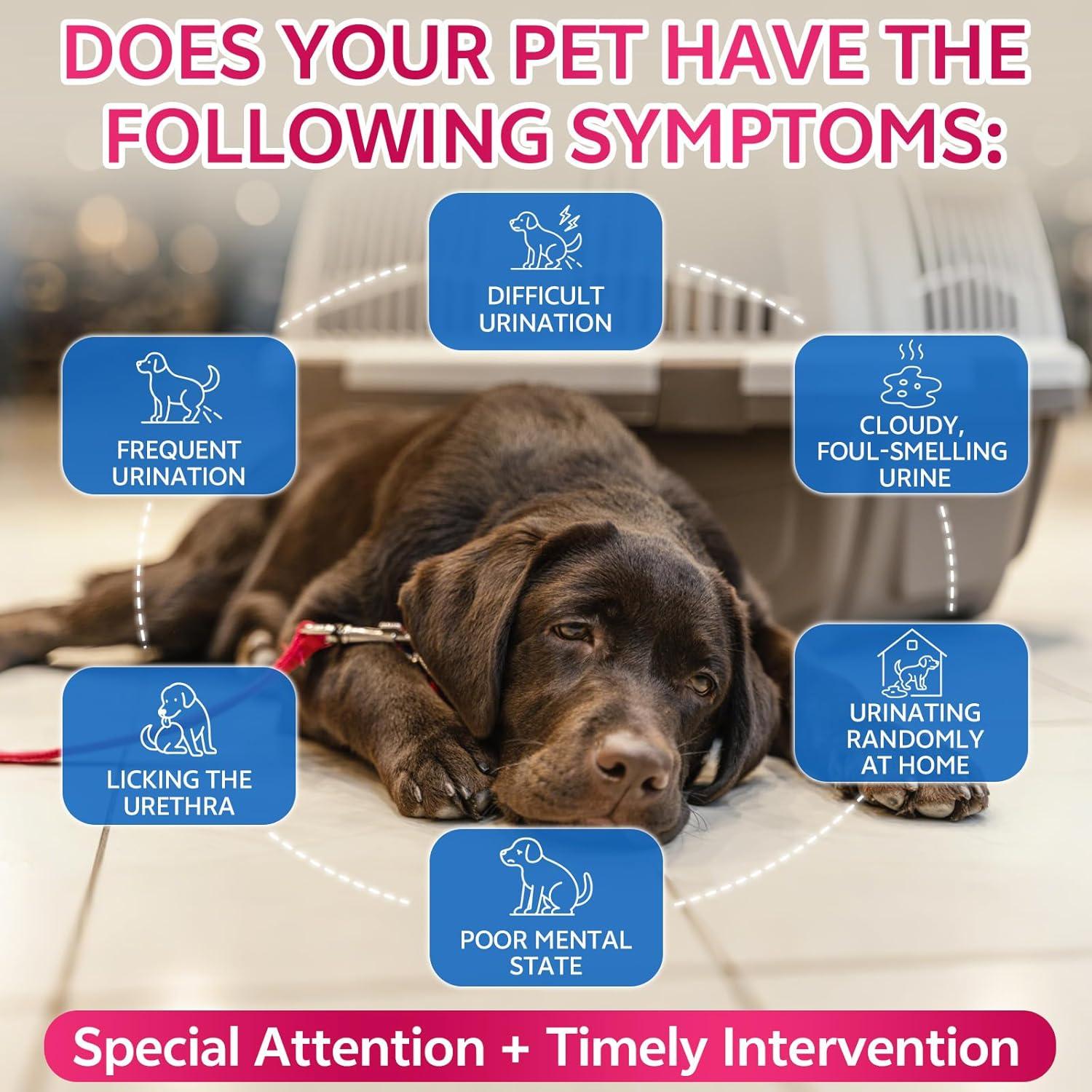 Suplemento Natural para Tracto Urinario Mascotas WEALLIN 1 PC