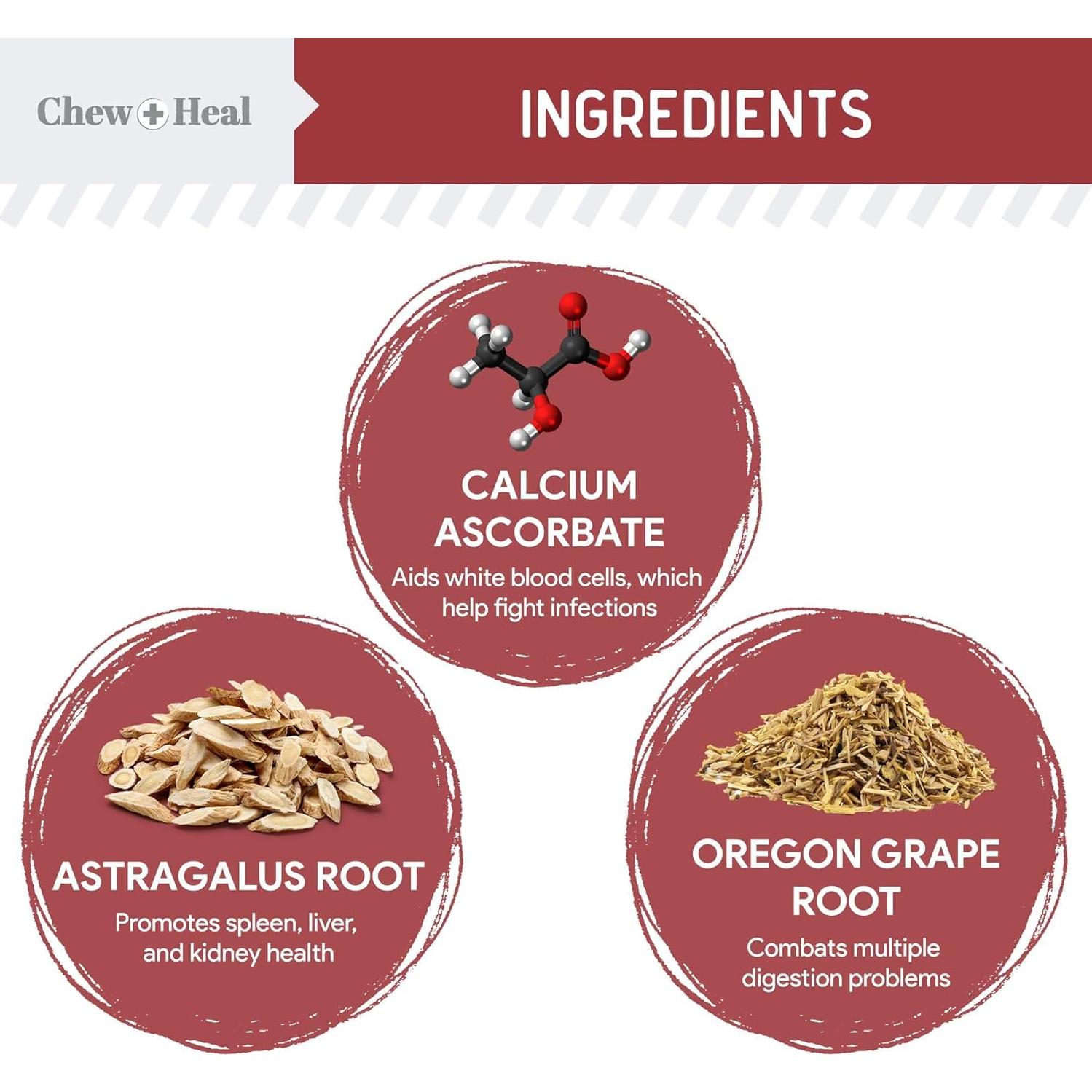 Suplemento de Arándano Chew + Heal para Infecciones UTI Perros 120 Masticables