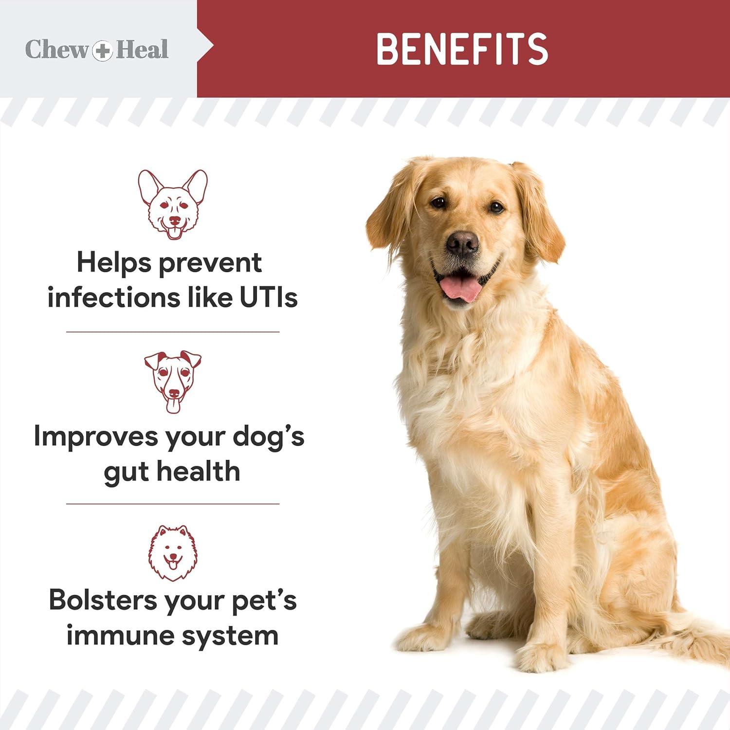 Suplemento de Arándano Chew + Heal para Infecciones UTI Perros 120 Masticables