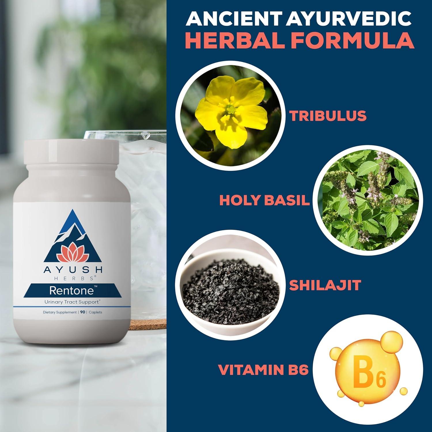 Suplemento Renal Ayush Herbs - 90 Cápsulas Vegetarianas