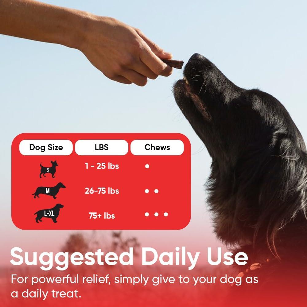 Suplemento Urinario iHeartDogs para Perros 90 Cápsulas