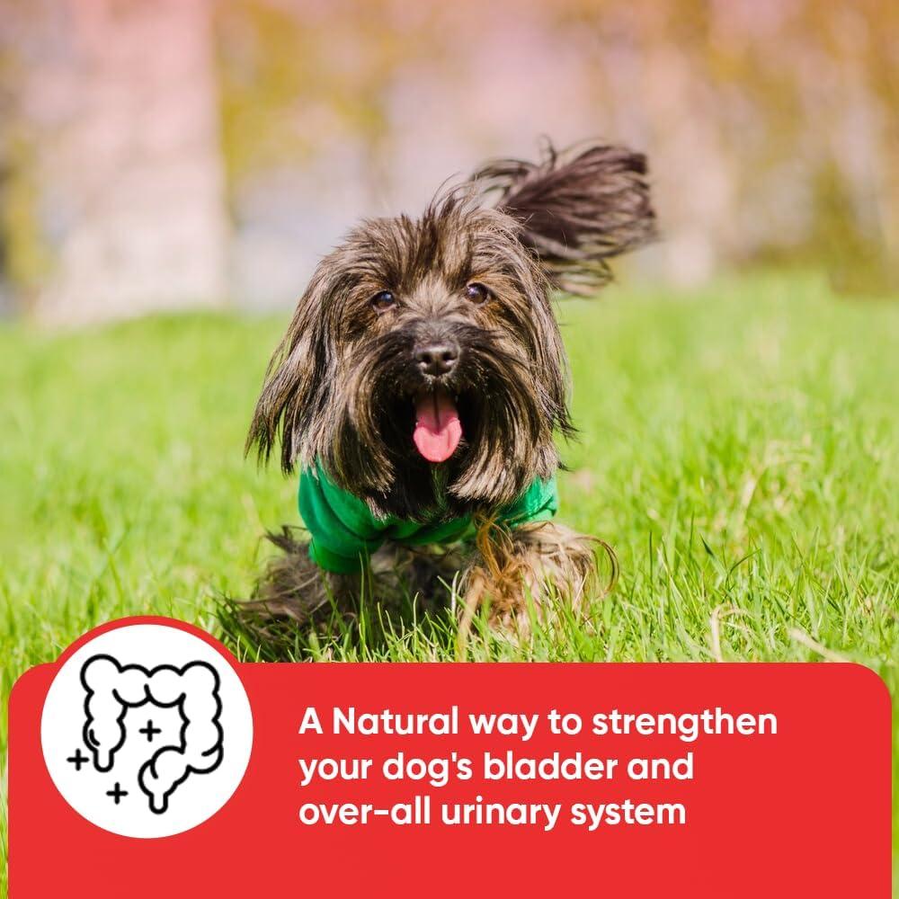 Suplemento Urinario iHeartDogs para Perros 90 Cápsulas