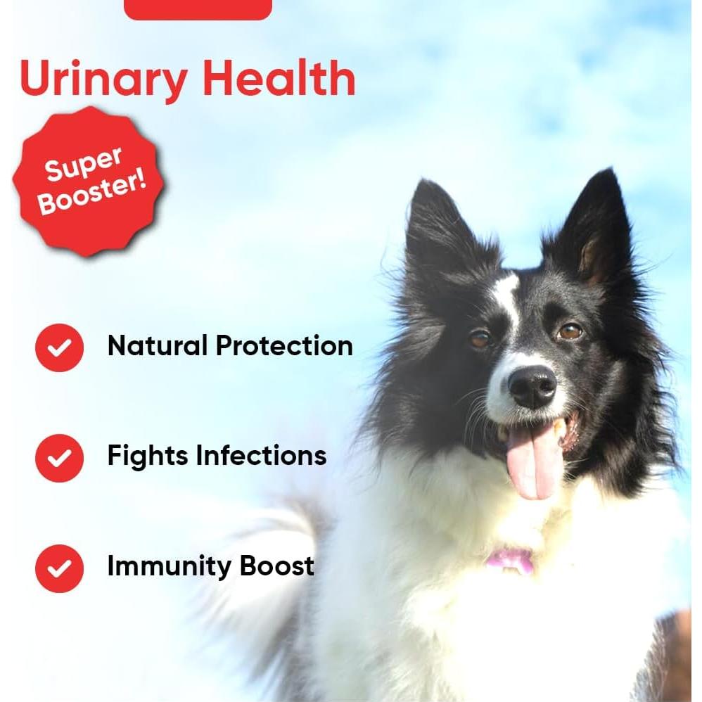 Suplemento Urinario iHeartDogs para Perros 90 Cápsulas