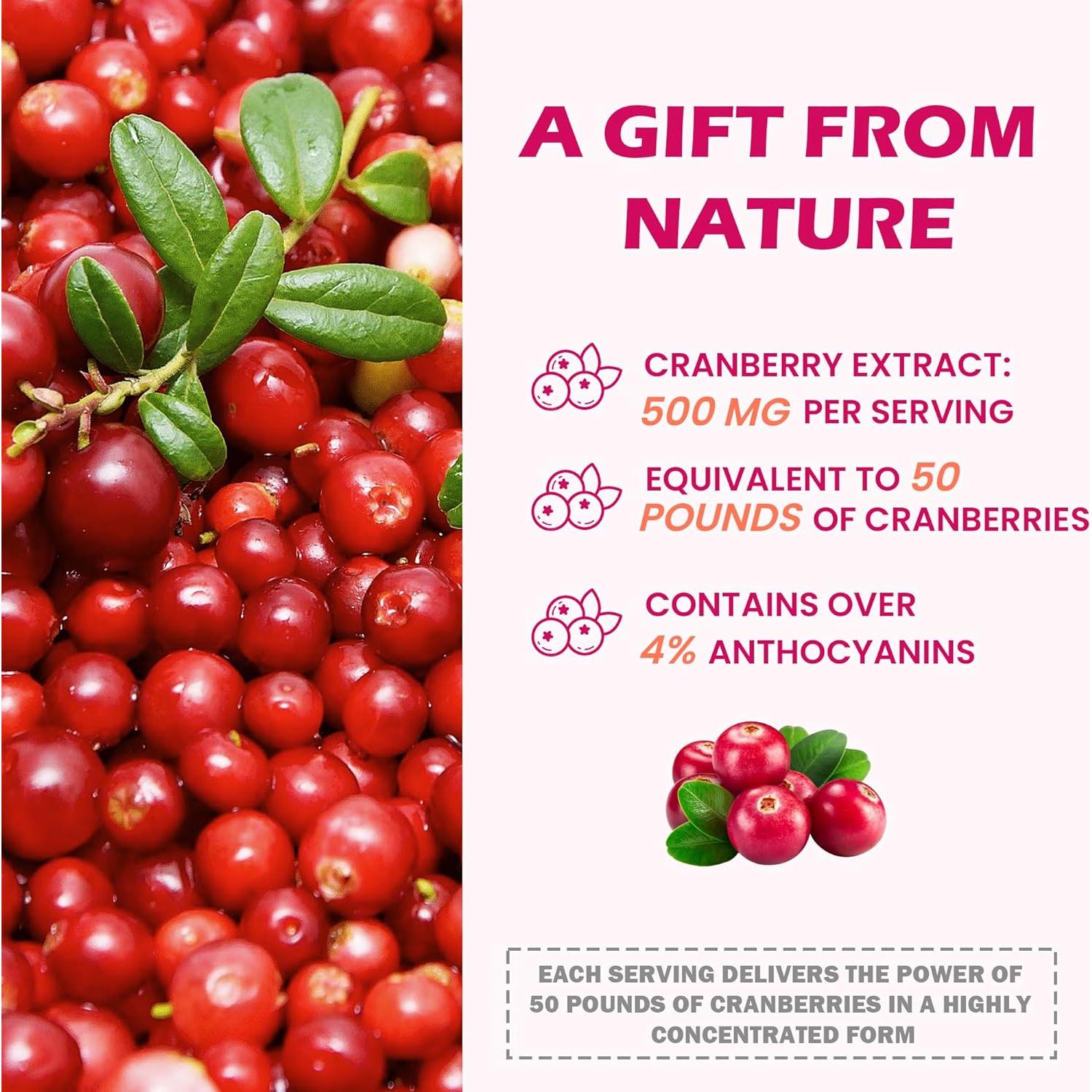 23 en 1 Detox de Riñones Litypure con Arándano 60 Cápsulas