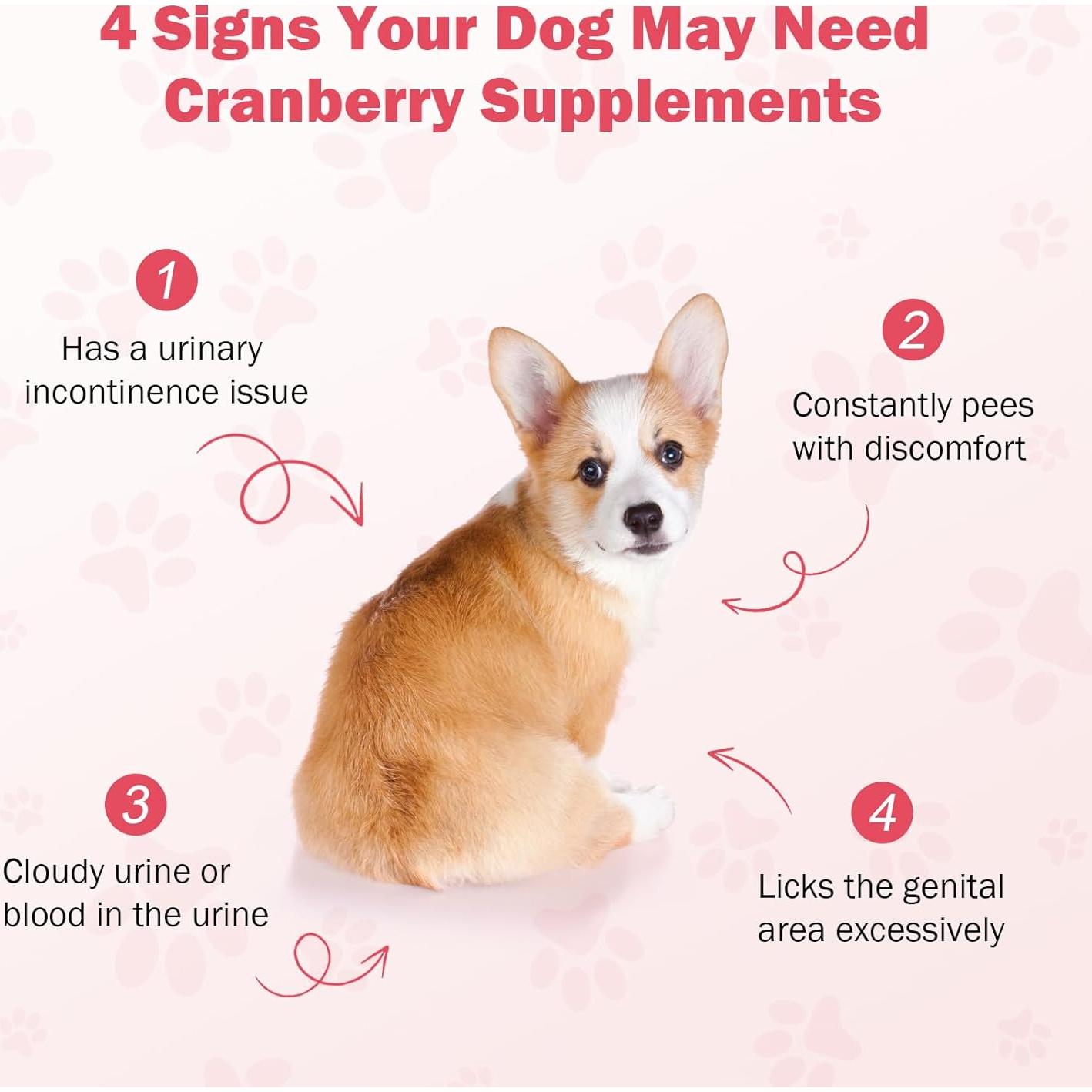 Tabletas Masticables de Arándano PKperekond para Perros 120 Unidades